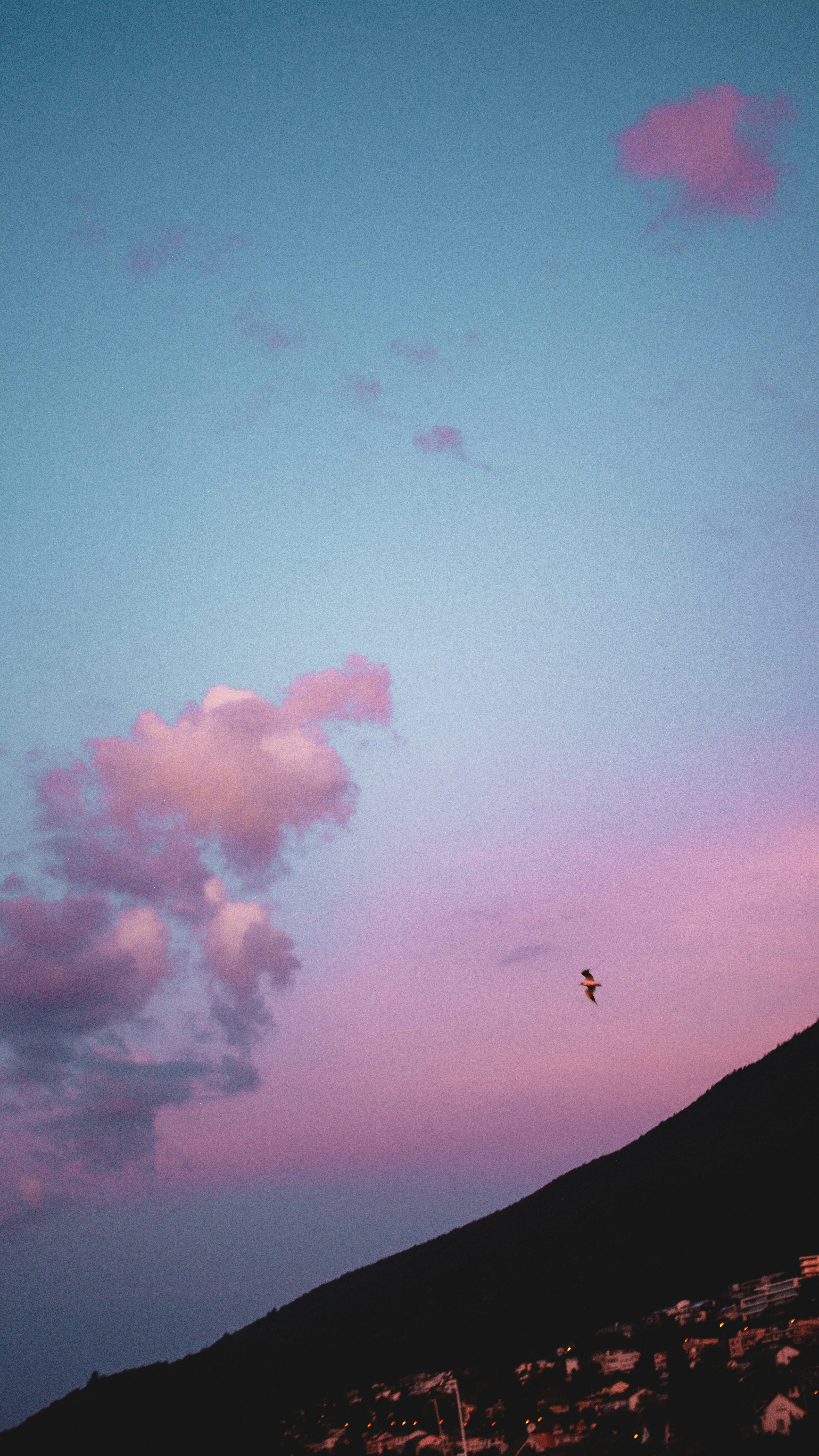 Photo by miguel_ind0