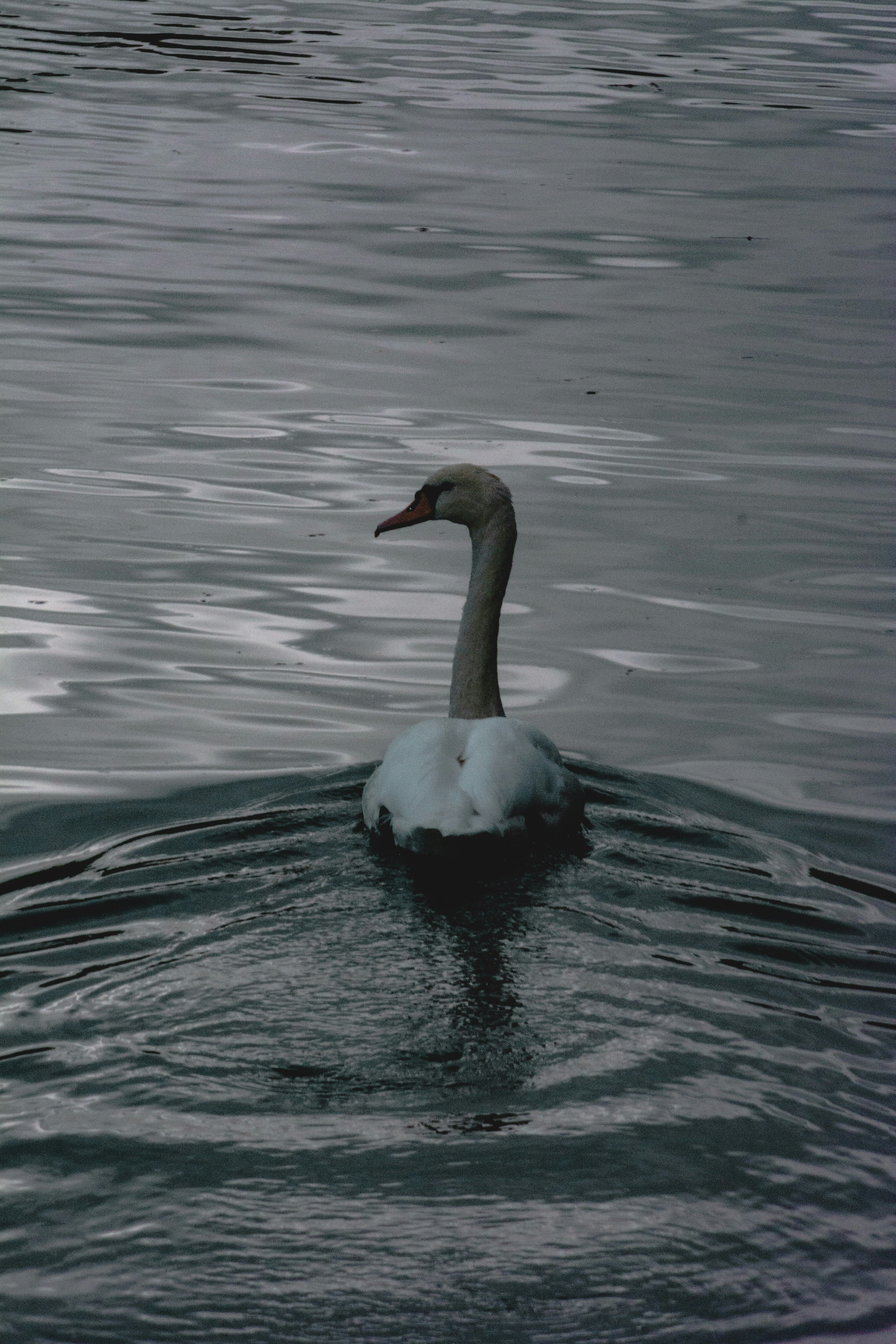 Photo by miguel_ind0