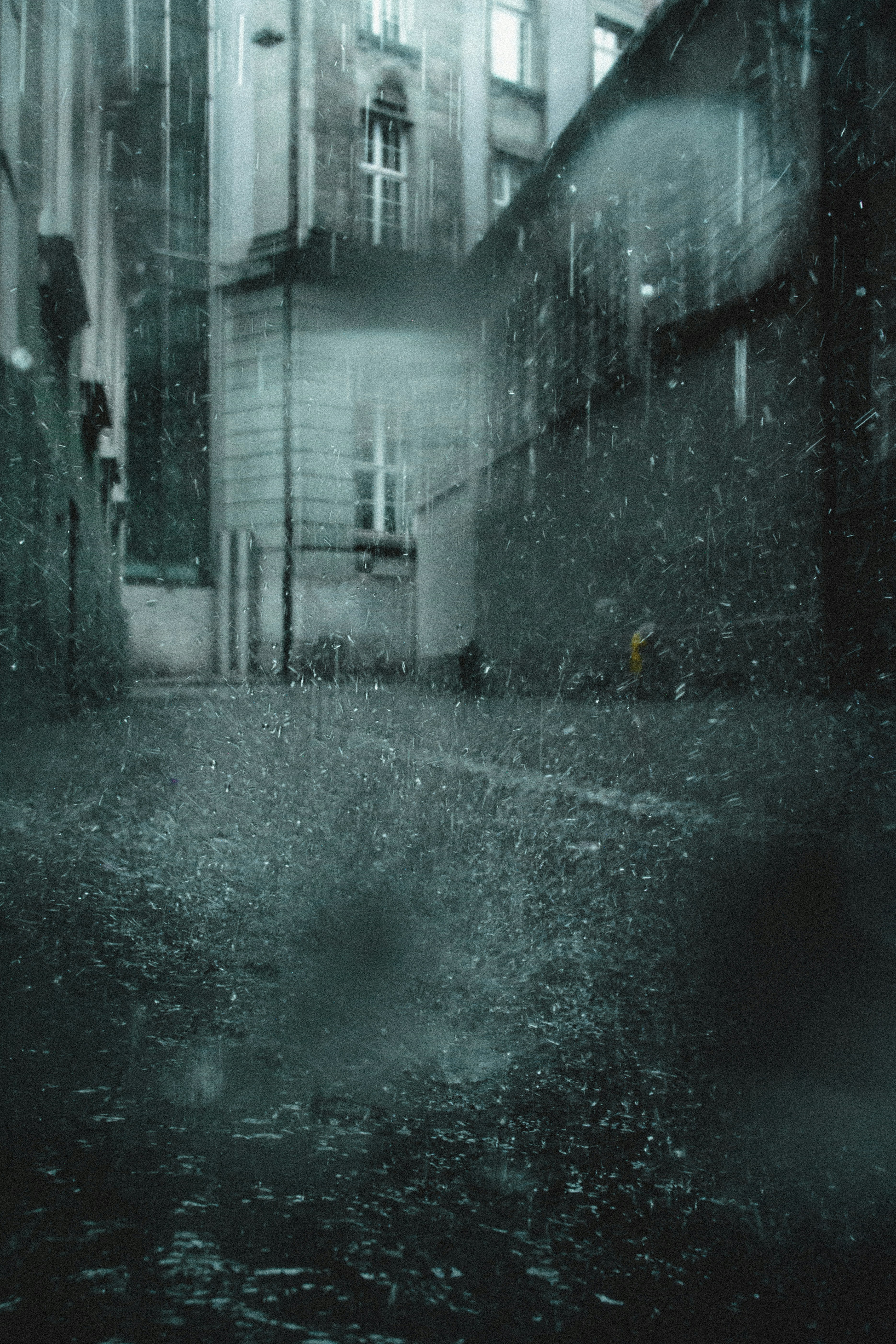 비 오는 거리의 흑백 사진 사진 – Unsplash의 무료 이미지, image size:3000x4500