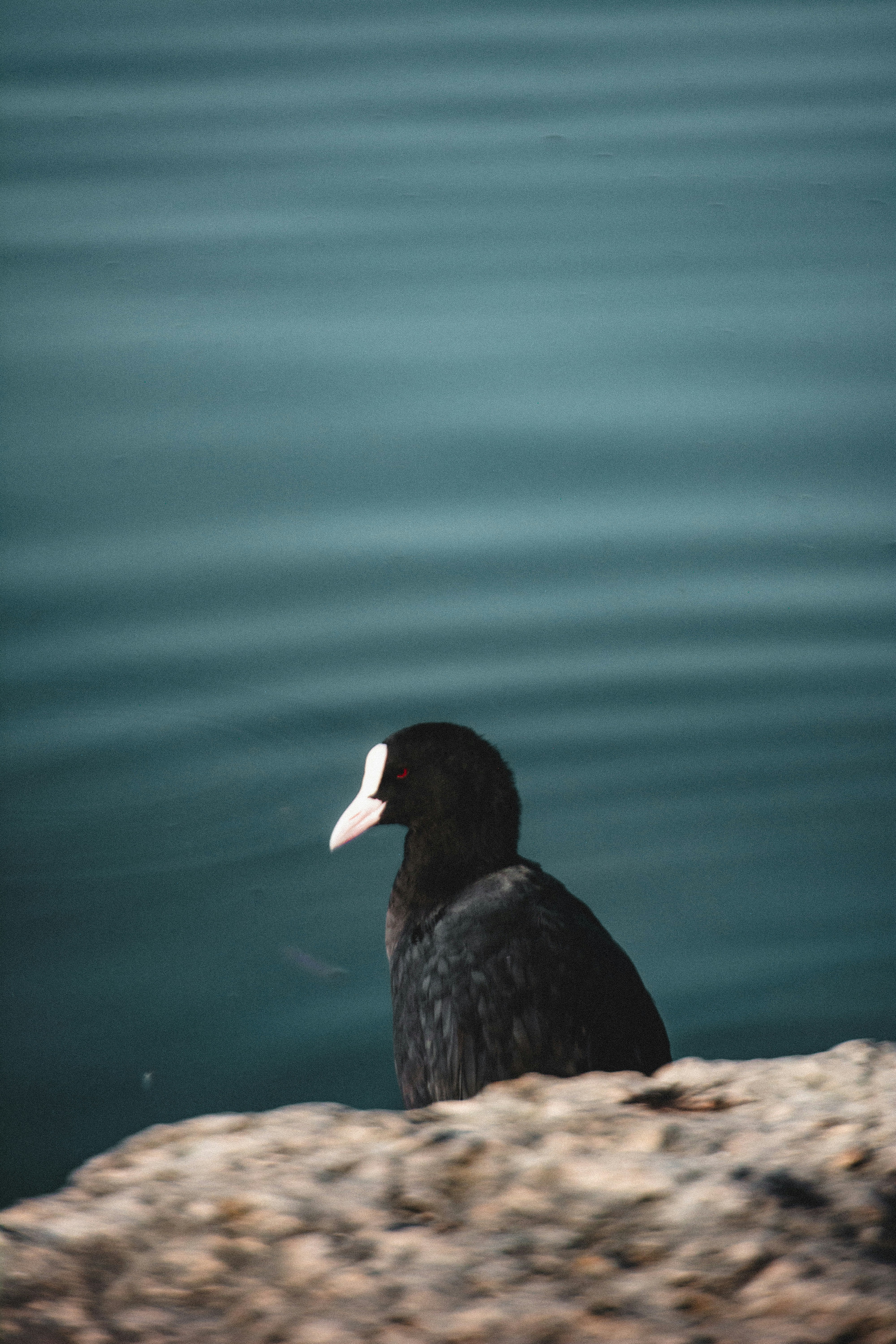 Photo by miguel_ind0