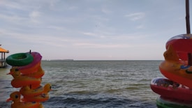 The image depicts an open body of water, possibly a sea or lake, with a calm surface and a slightly cloudy sky. In the foreground, colorful inflatable rings are stacked on poles on both the left and right sides, with designs that include ducks and cartoons.
