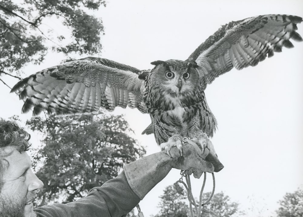 a man holding an owl on his arm