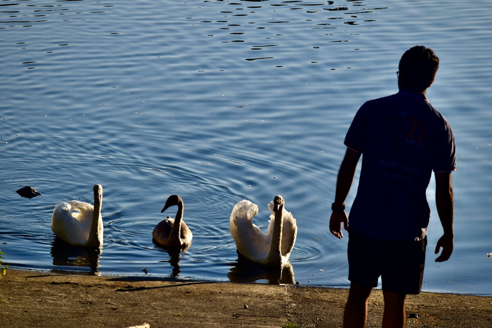 a man standing in front of a body of water with three swans
