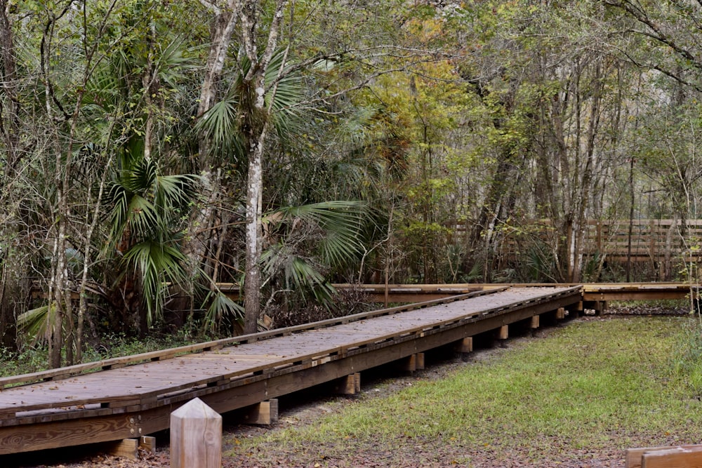 a wooden bridge in the middle of a forest