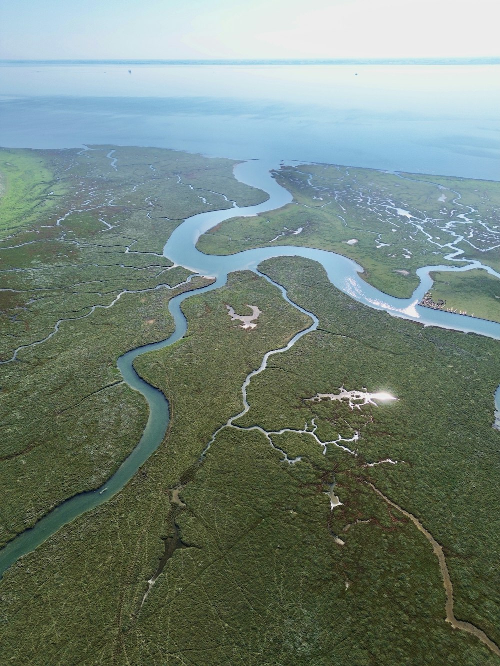 Luftaufnahme eines Flusses, der durch ein üppig grünes Feld fließt