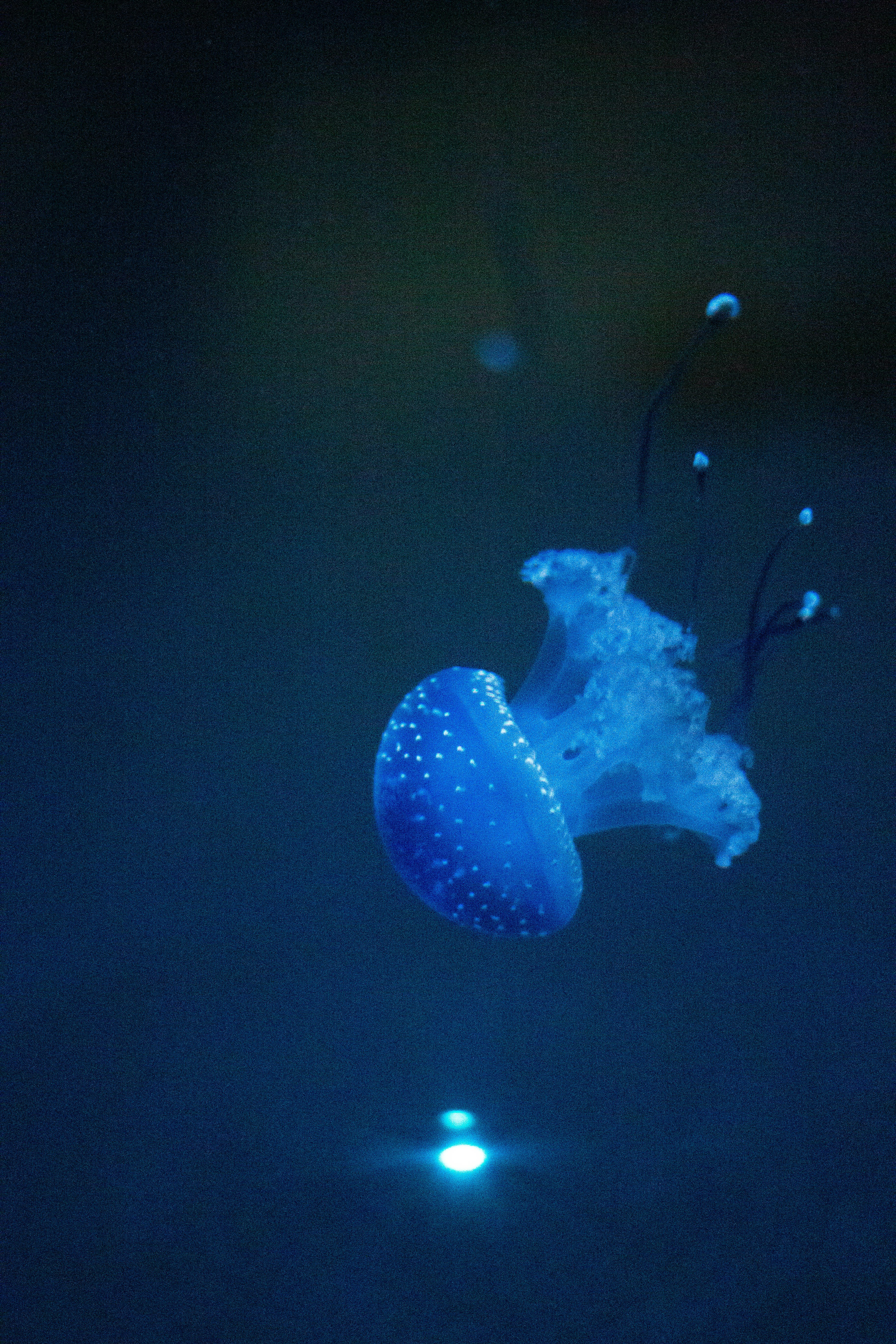 Photo by leadeleligne