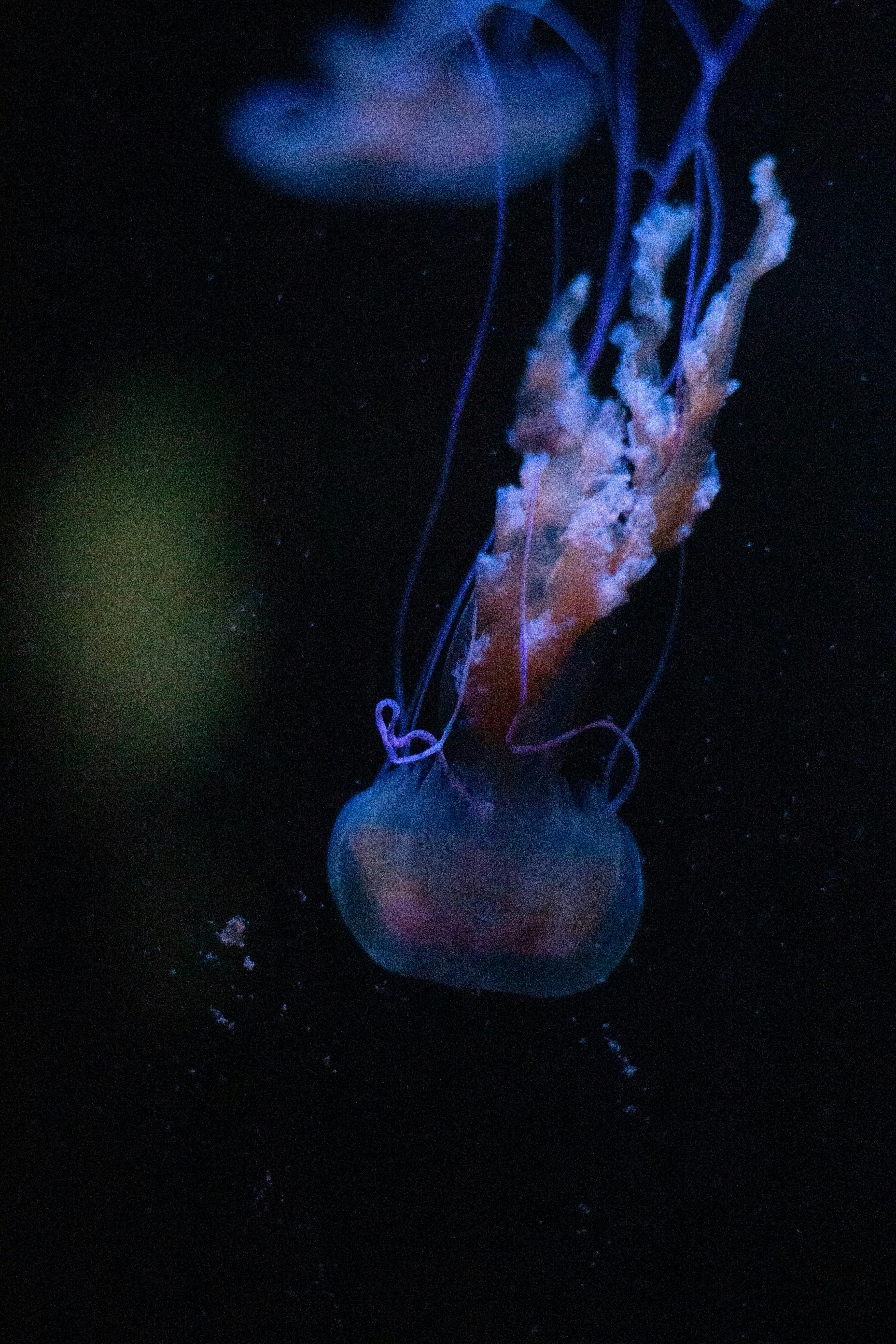 Photo by leadeleligne