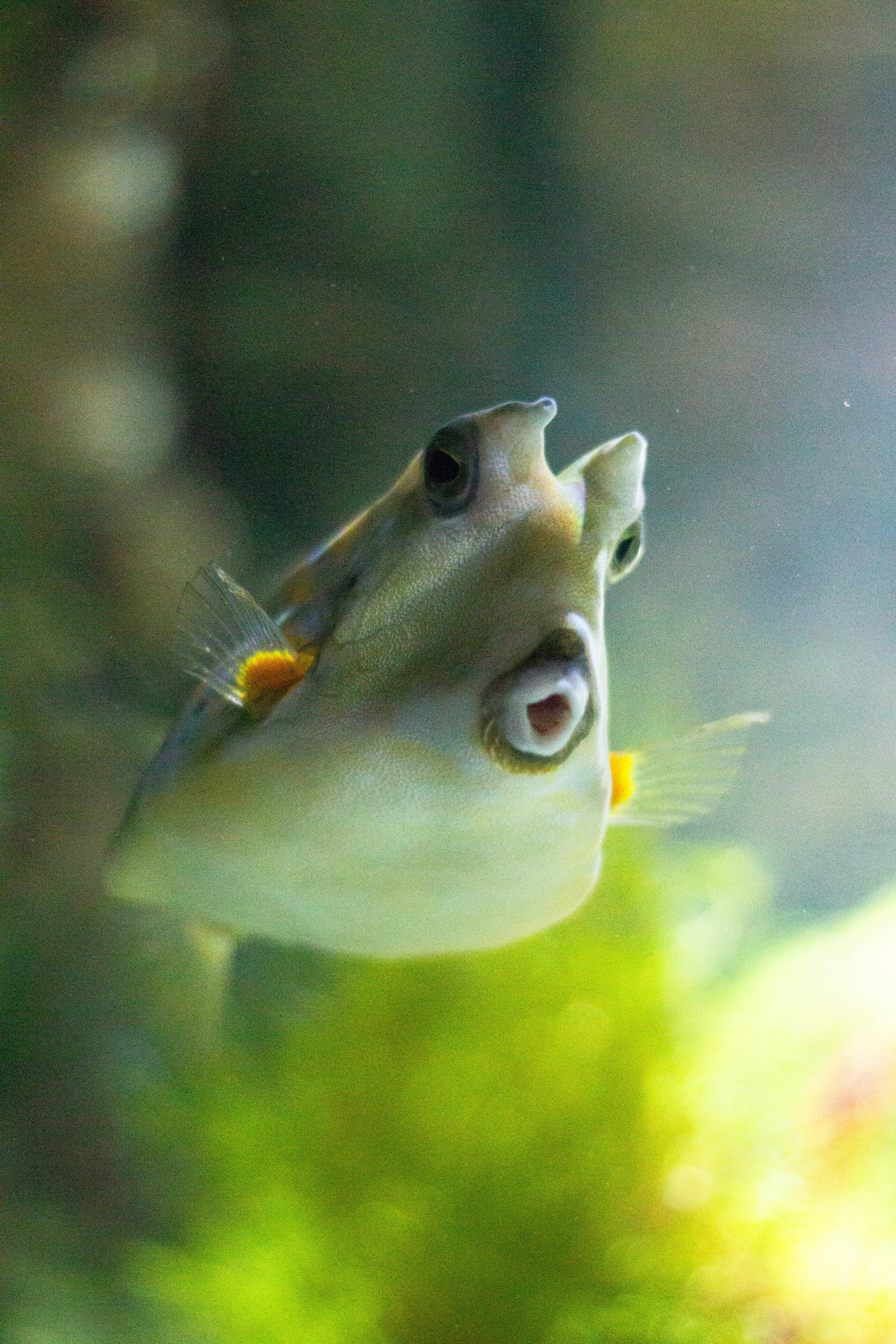 Photo by leadeleligne