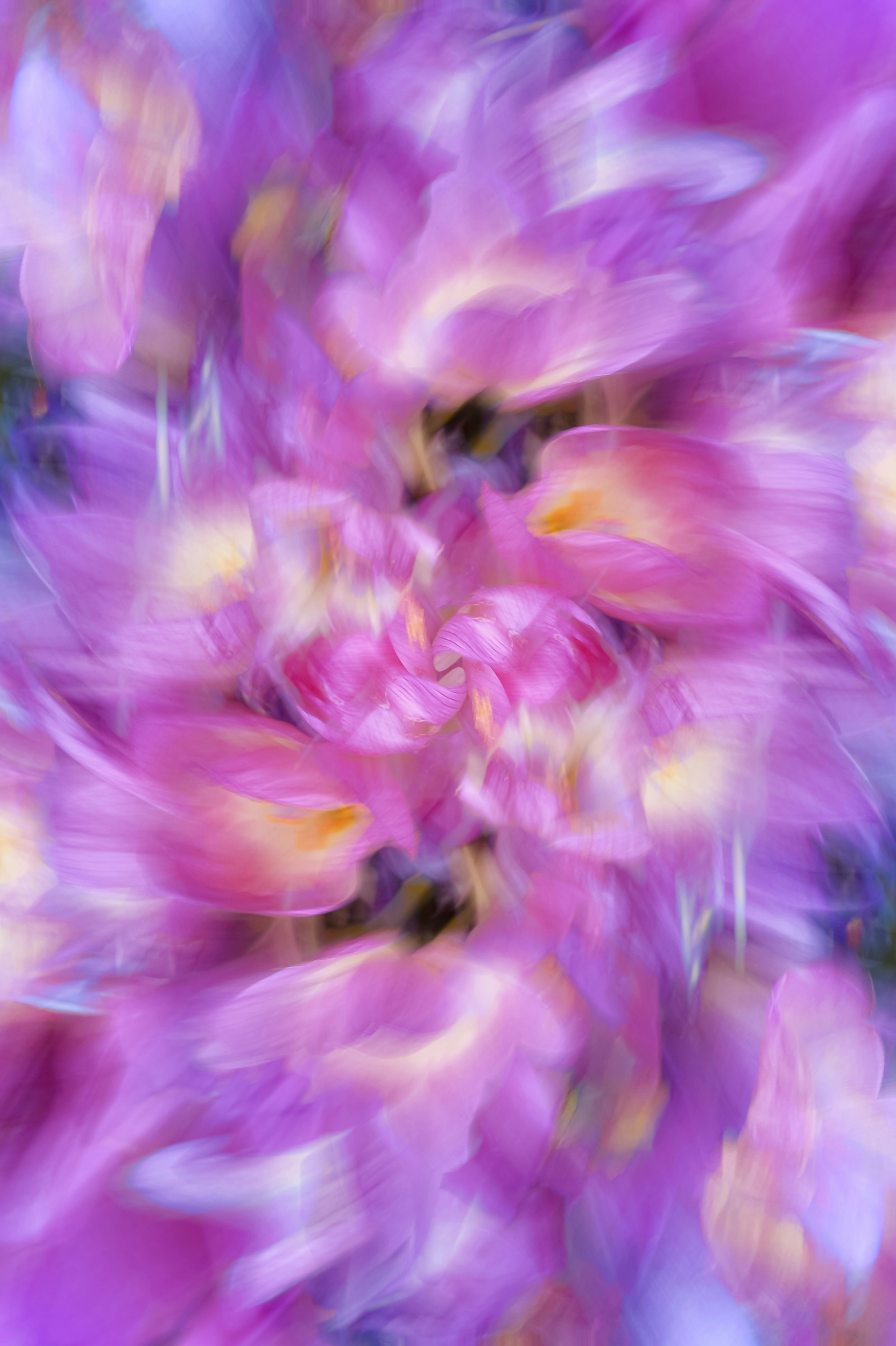 Photo by eugene_golovesov