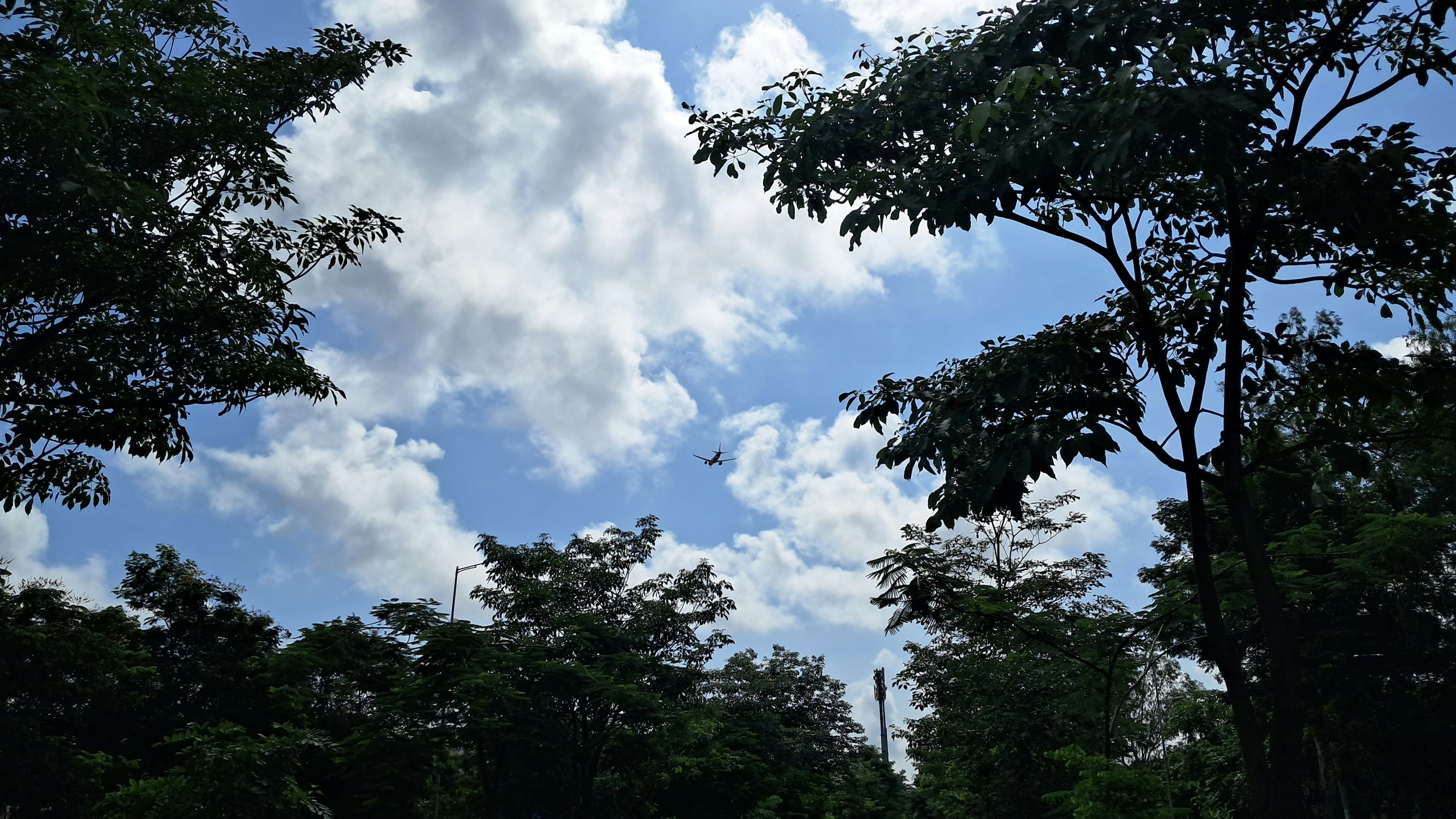 Photo by devsagar09
