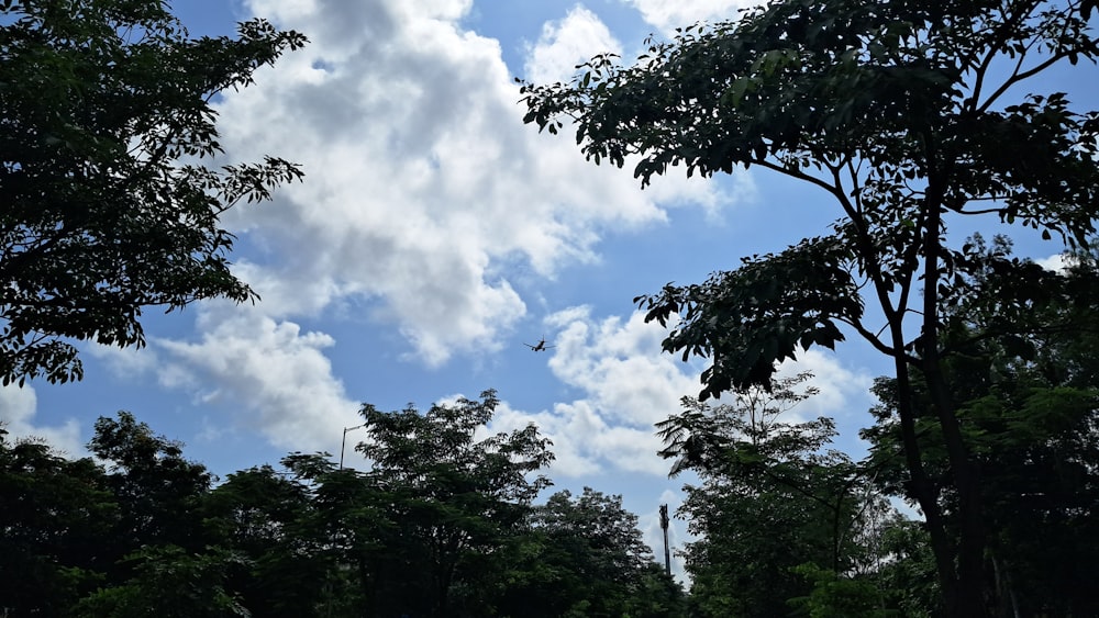 a plane flying through a cloudy blue sky