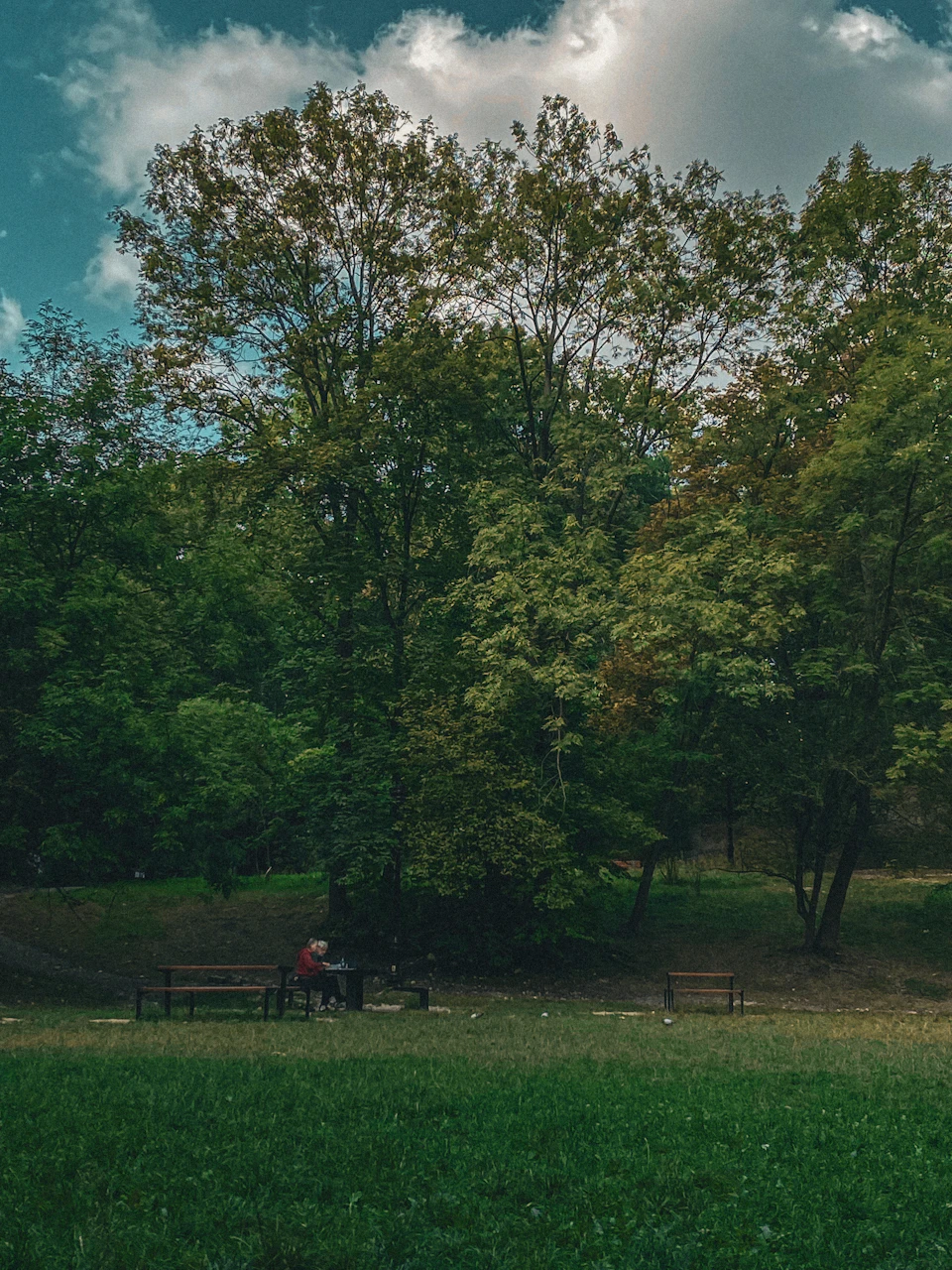 The image depicts a serene park scene with two individuals seated on wooden benches, facing away from the camera and engaged in their own activities. The park is lush with trees, providing a natural backdrop to the scene. One person is wearing a red shirt, while the other has chosen a more subdued gray shirt. The bench they are sitting on is positioned under a large tree, offering them shade and a sense of tranquility as they enjoy each other's company in this peaceful setting.

The image also contains some text that reads "sa_1896".