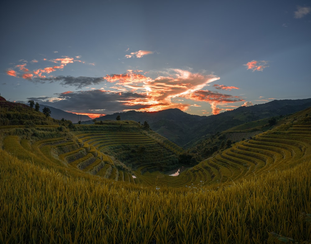 Le soleil se couche sur une rizière