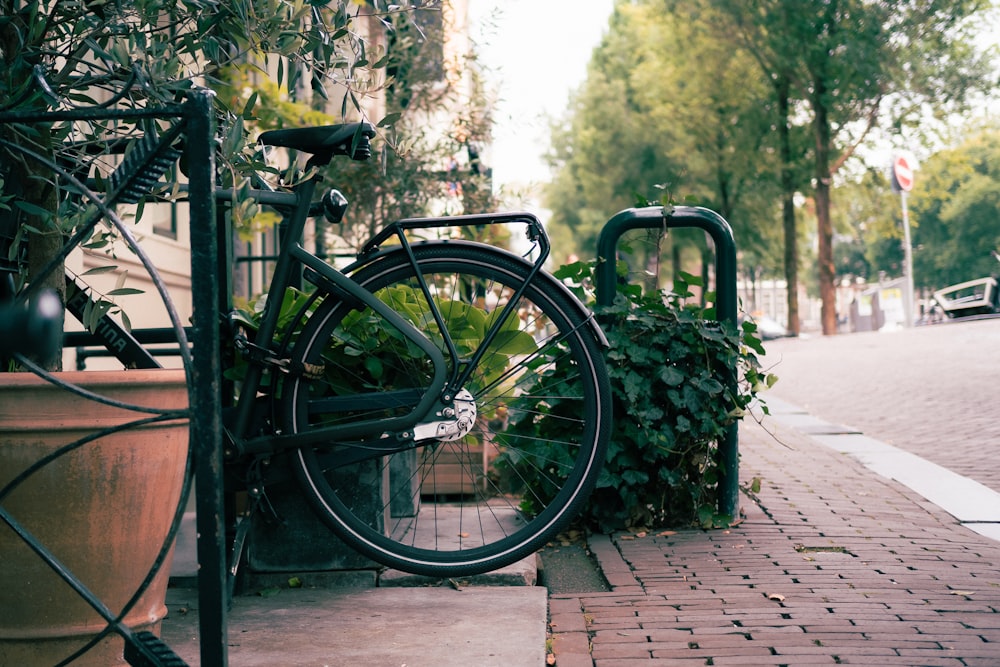 Una bicicleta estacionada junto a una planta en maceta en una acera