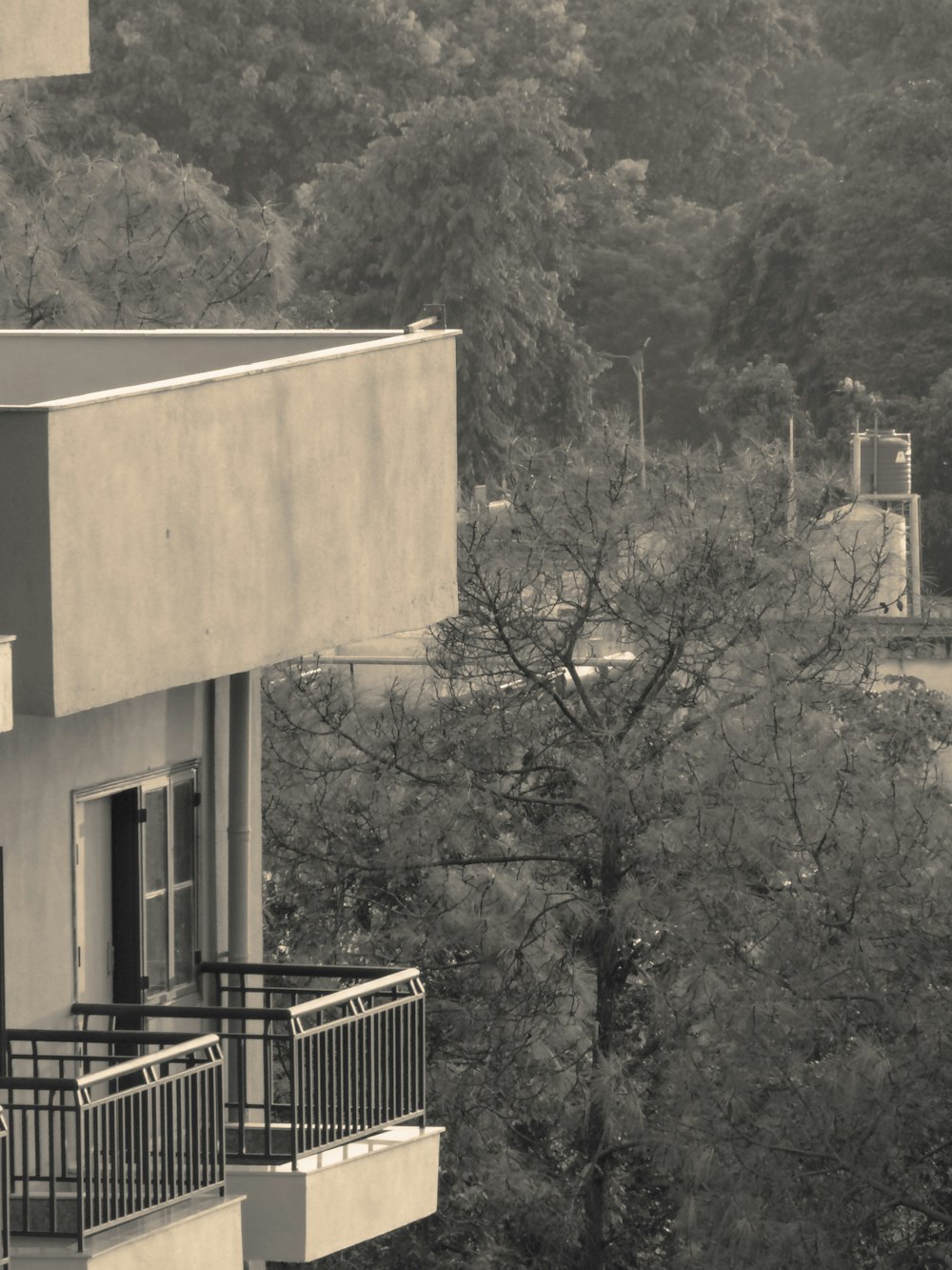a black and white photo of a building and trees