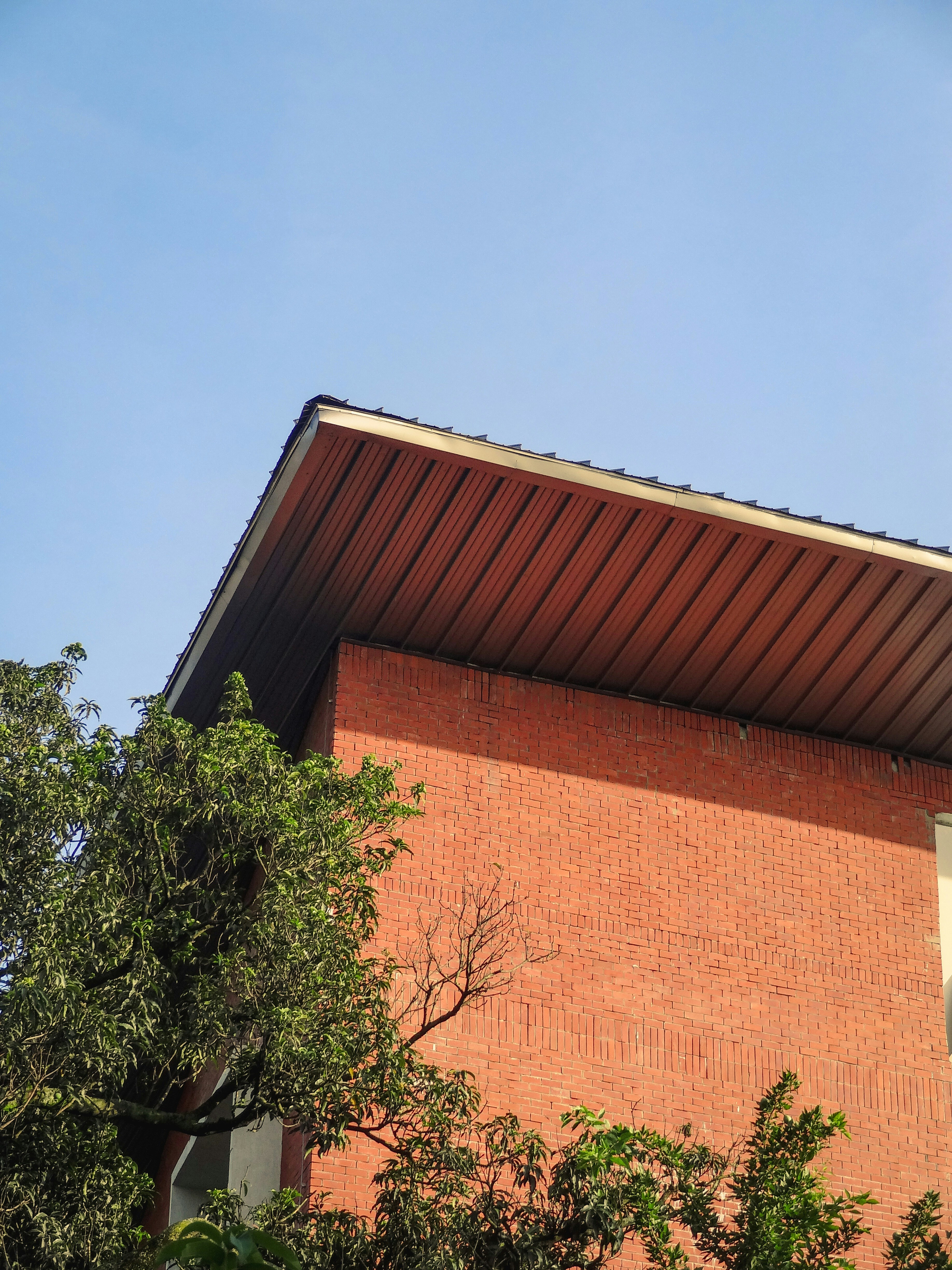 Photo by snapsbyshivansh