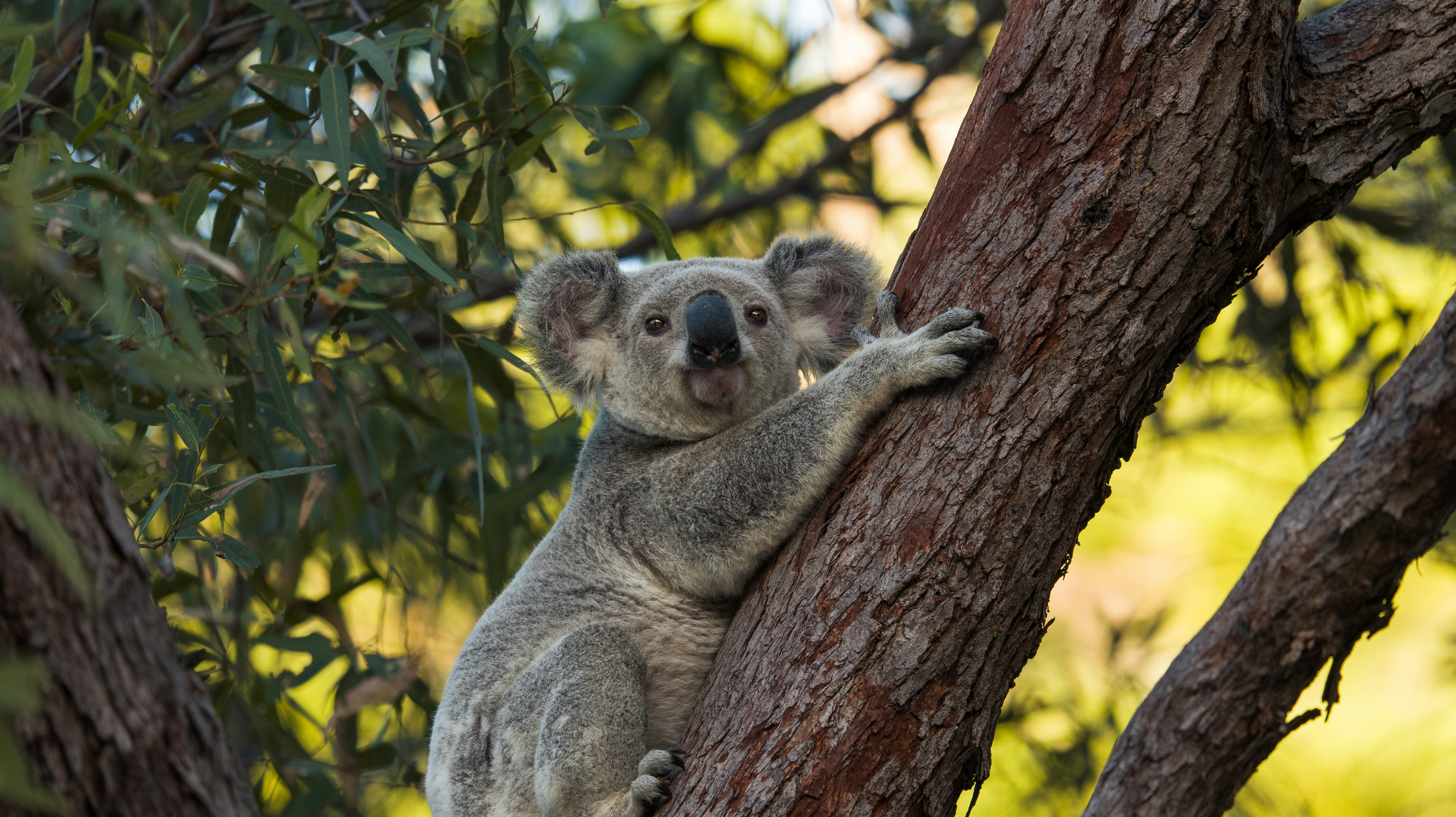 Photo by keanumagnus