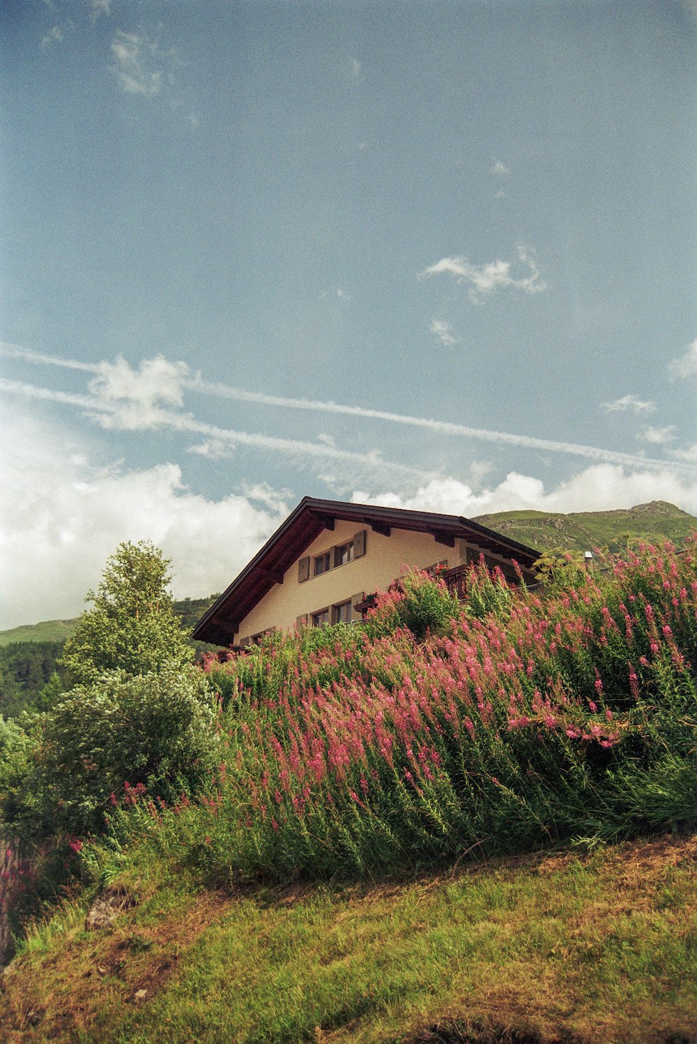 a house sitting on top of a lush green hillside