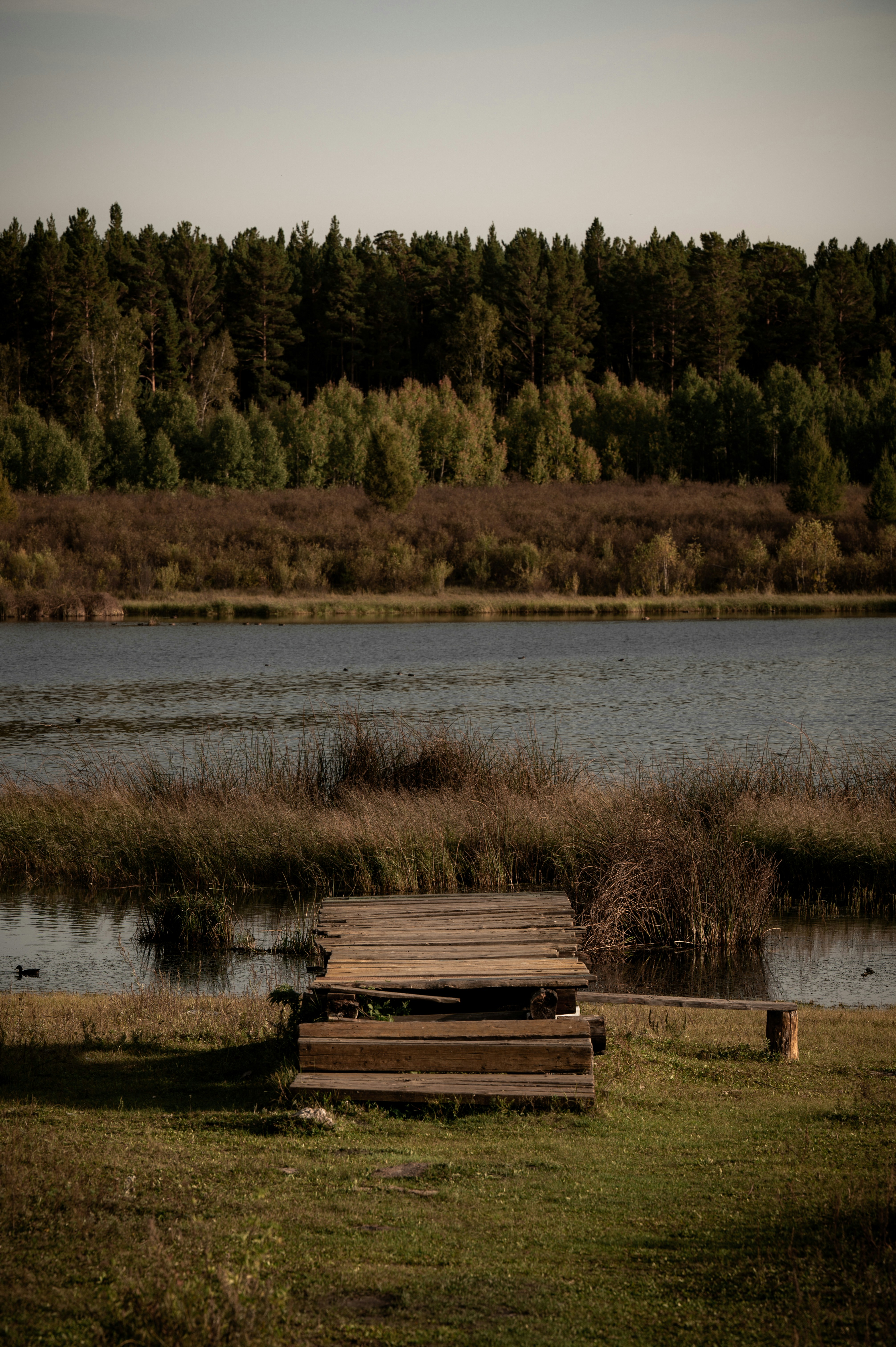 a wooden bench sitting on top of a lush green field