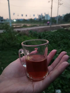 Close-up of hands holding a steaming cup of herbal tea with forest in the background.