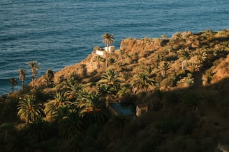 a house on a cliff overlooking the ocean