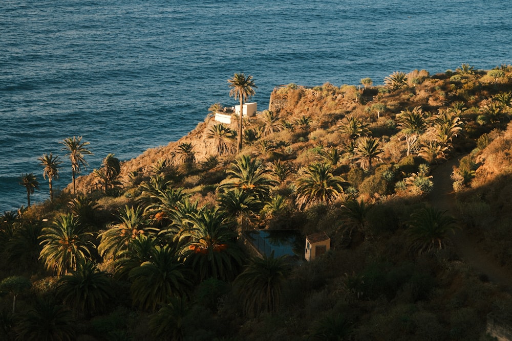 a house on a cliff overlooking the ocean