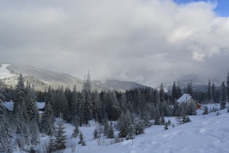 a snowy landscape with trees and mountains in the background