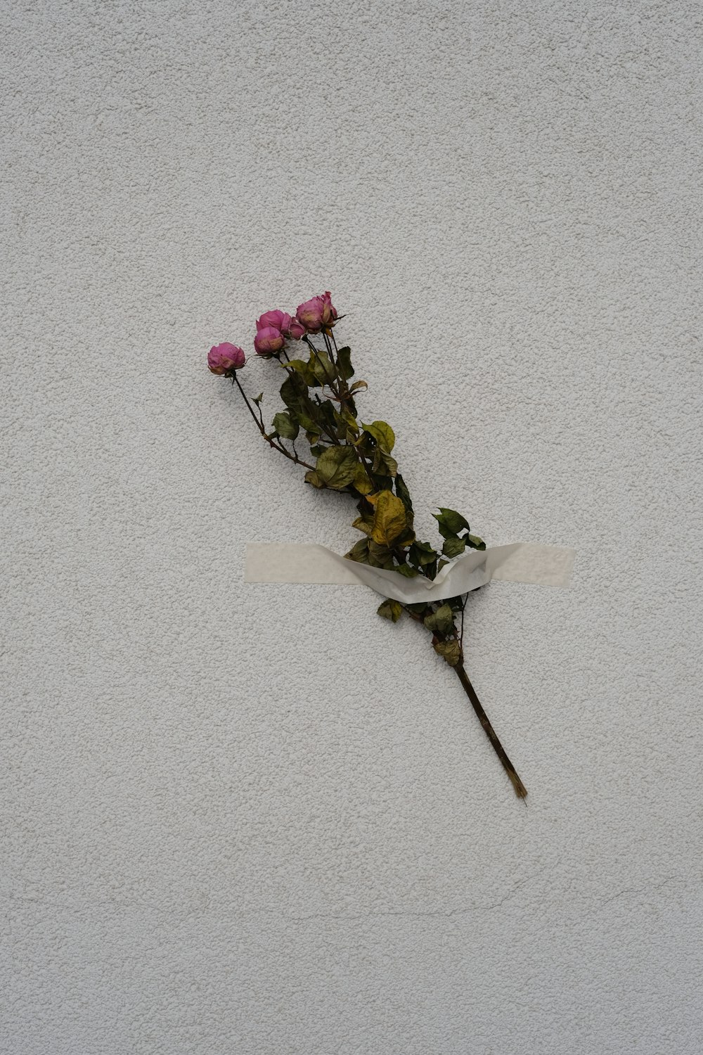 a bunch of flowers that are on the side of a wall