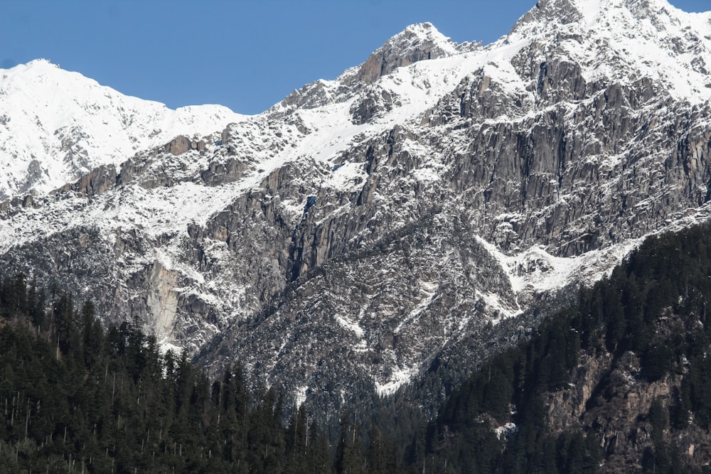 uma montanha coberta de neve com pinheiros em primeiro plano