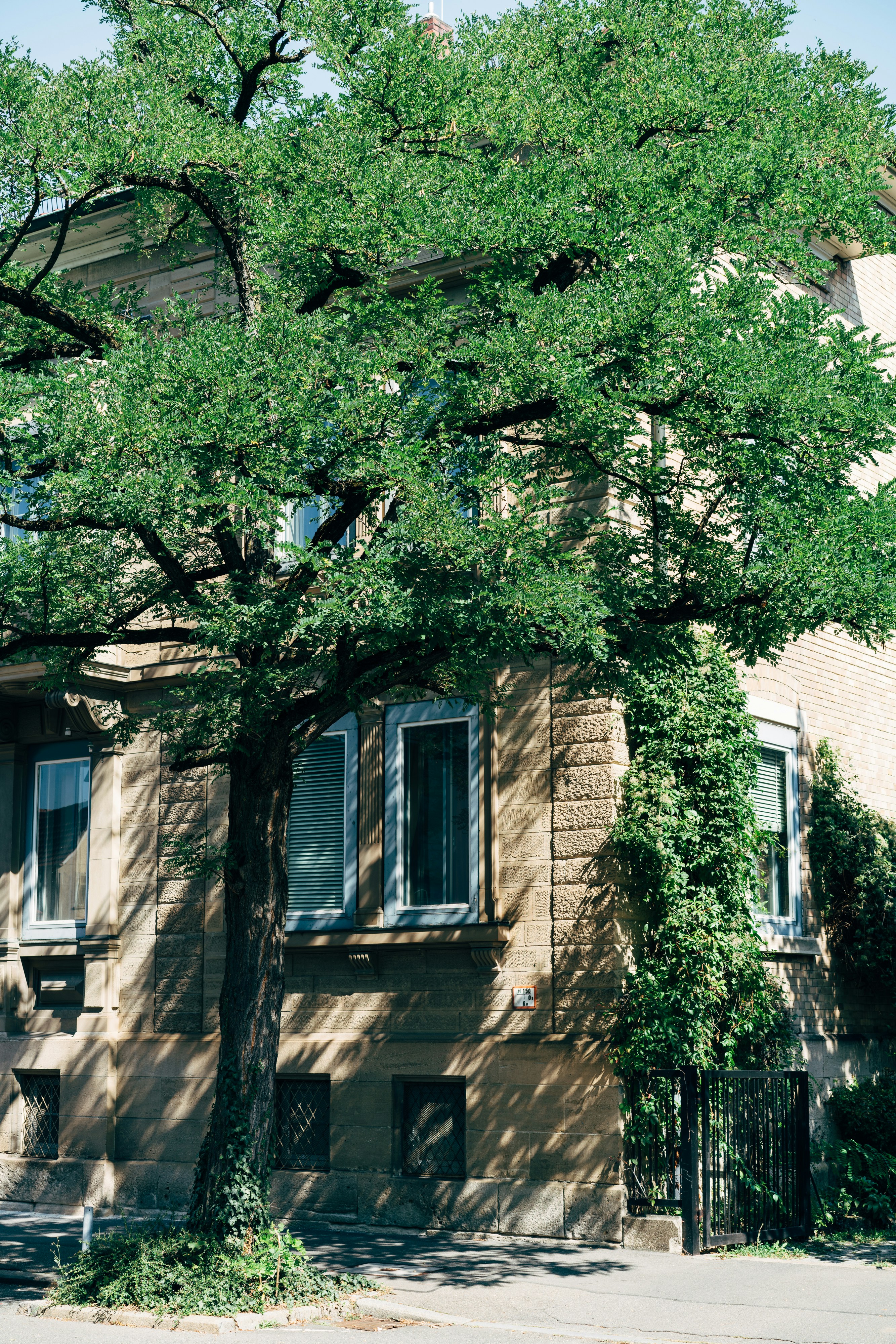 Photo by markuswinkler