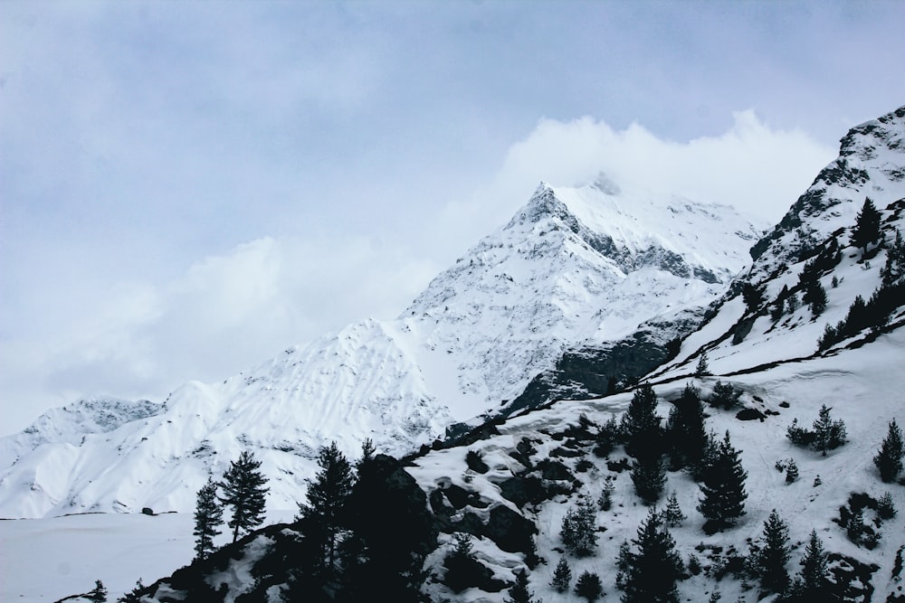 uma montanha coberta de neve e árvores sob um céu nublado