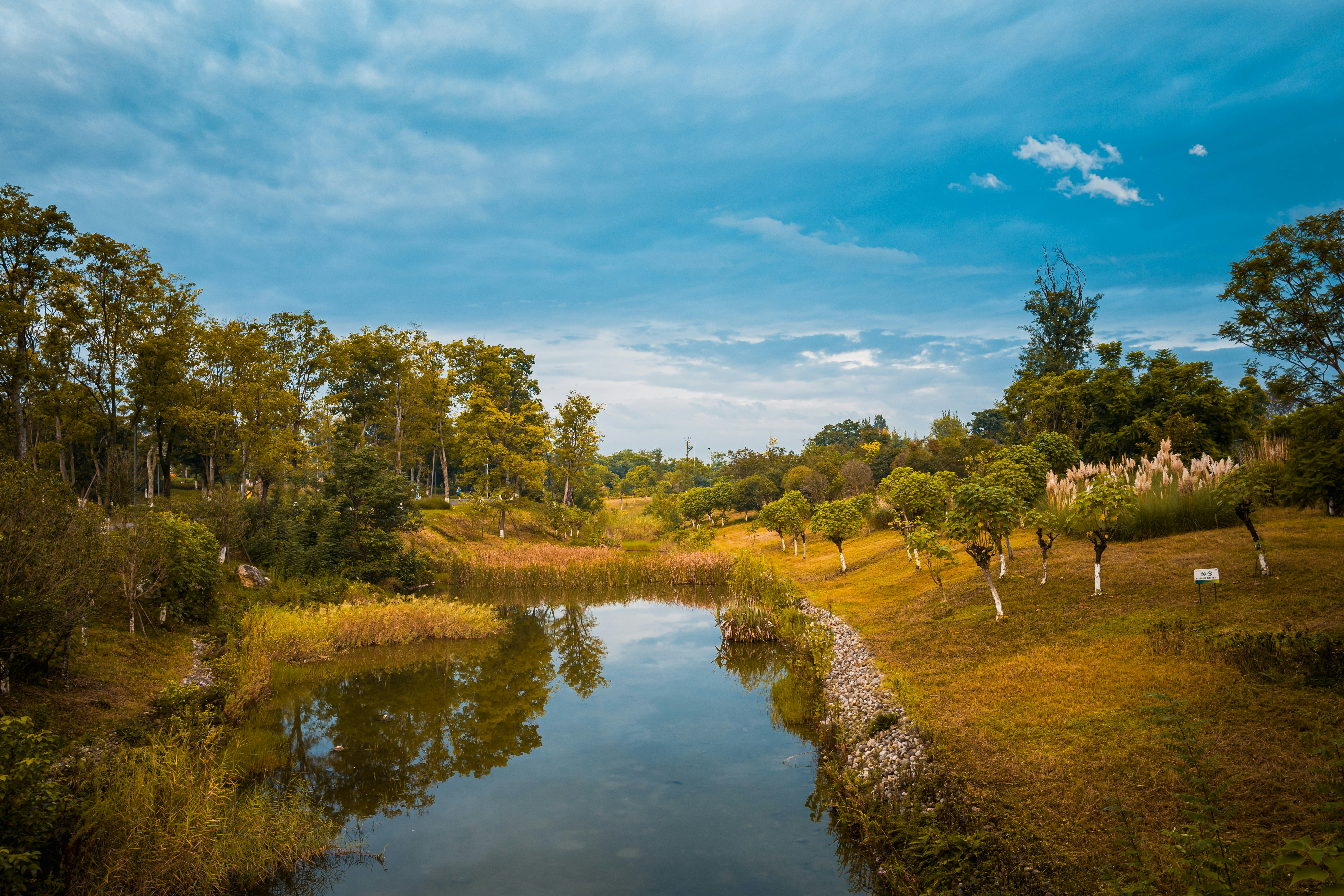 Photo by xingchenyan