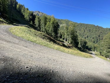 Freshly graded driveway winding through a rural property with native vegetation on either side.