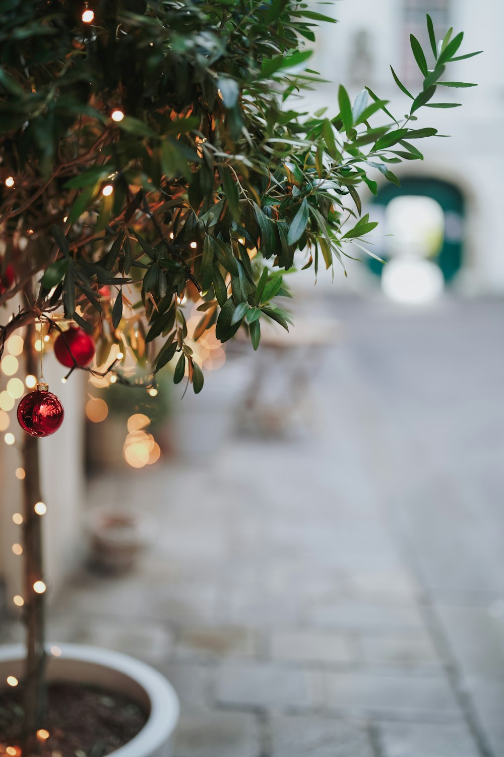 a small tree with ornaments hanging from it's branches