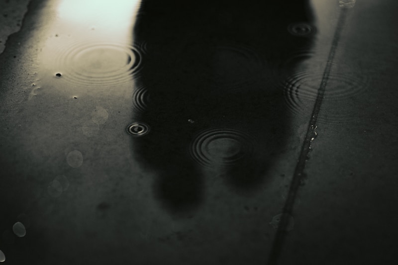 Musta kissa vesilammikossa