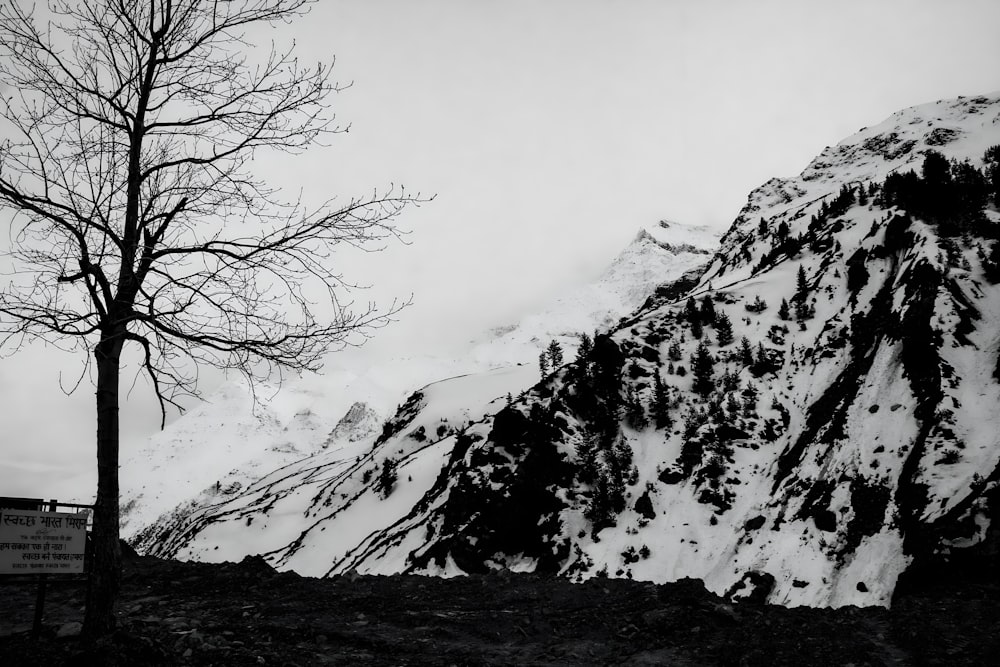 uma foto em preto e branco de uma montanha nevada