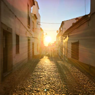 A charming cobblestone street in Rome bathed in golden afternoon light.