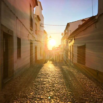 Golden hour light bathing an ancient Sicilian street lined with lemon trees and vibrant flowers.