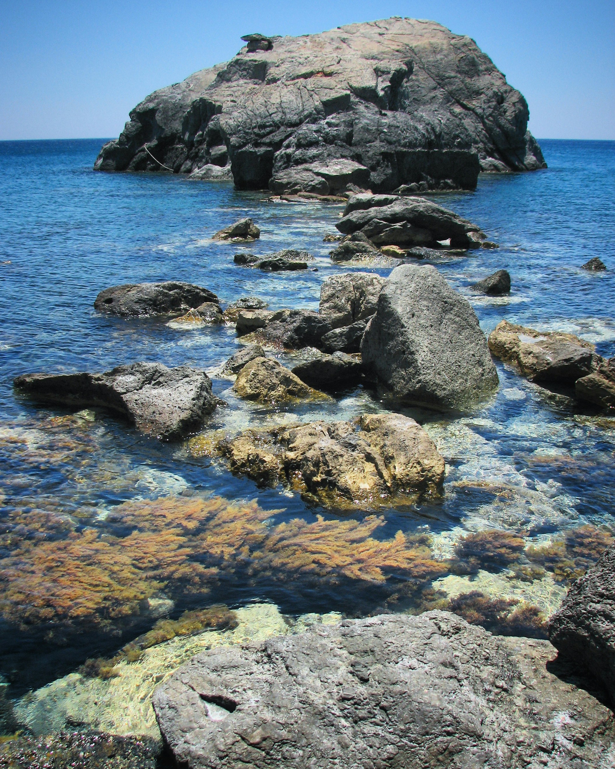 Photo by sergei_gussev