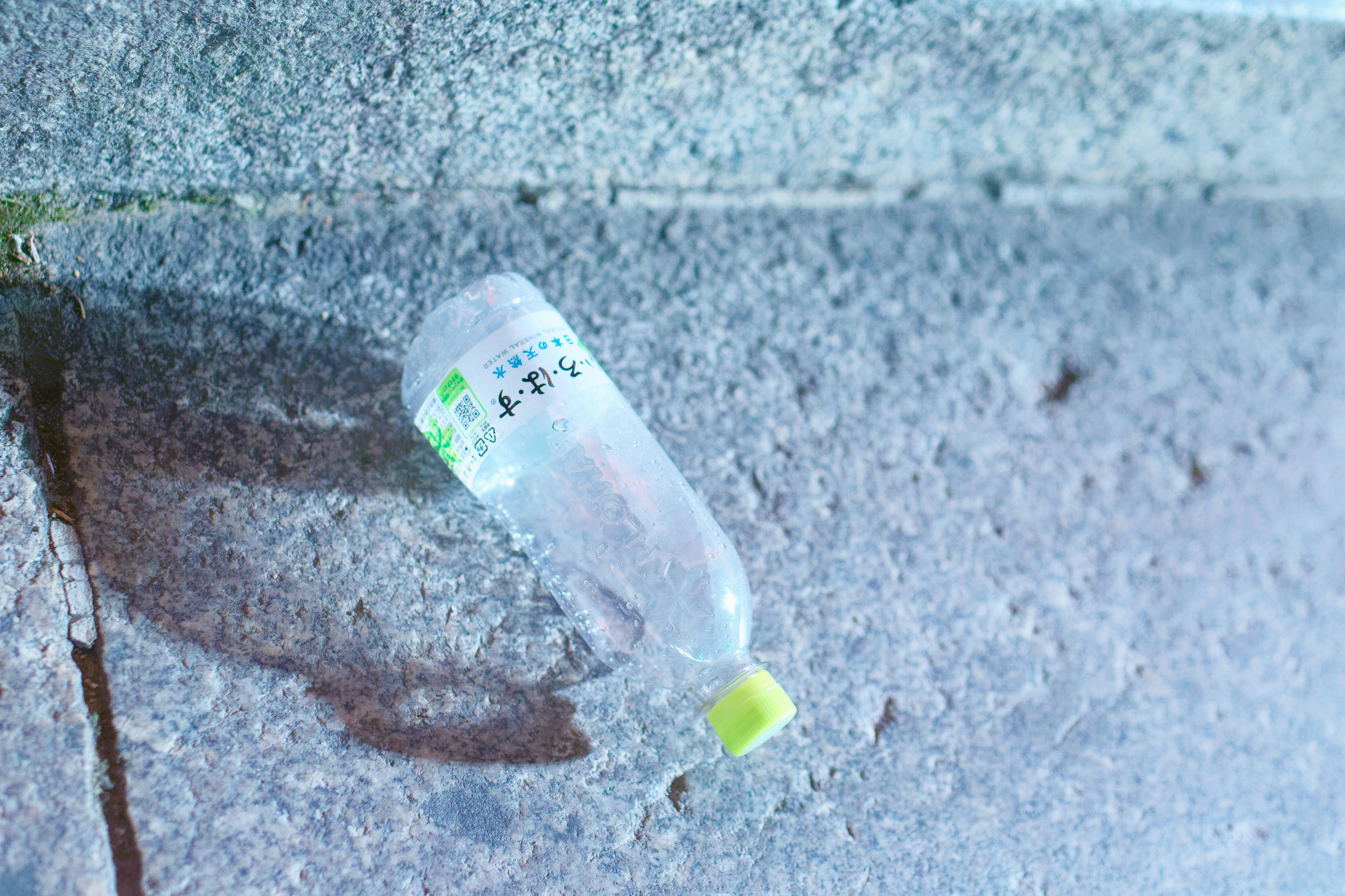 Photo by da_shika_photo