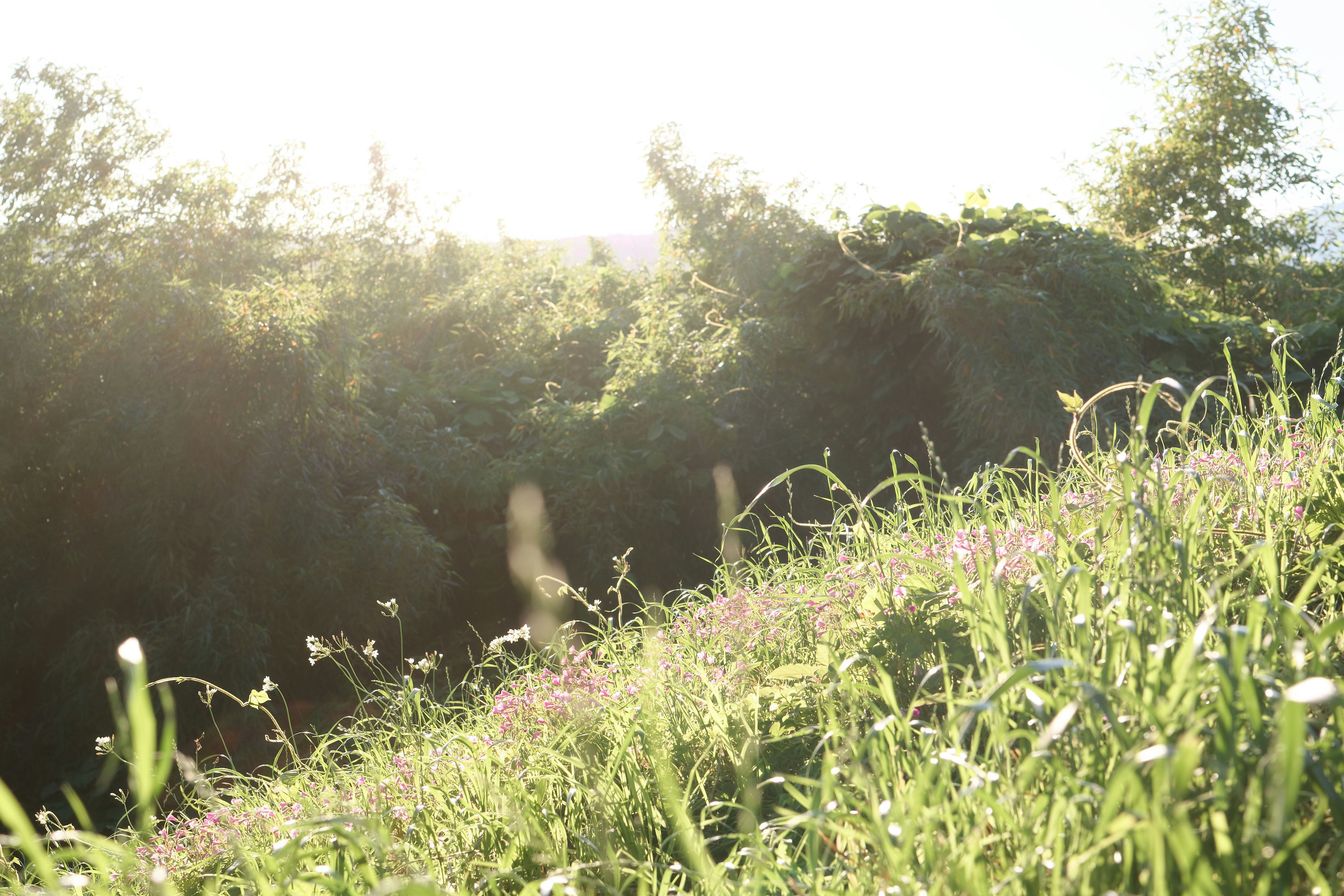 Photo by da_shika_photo