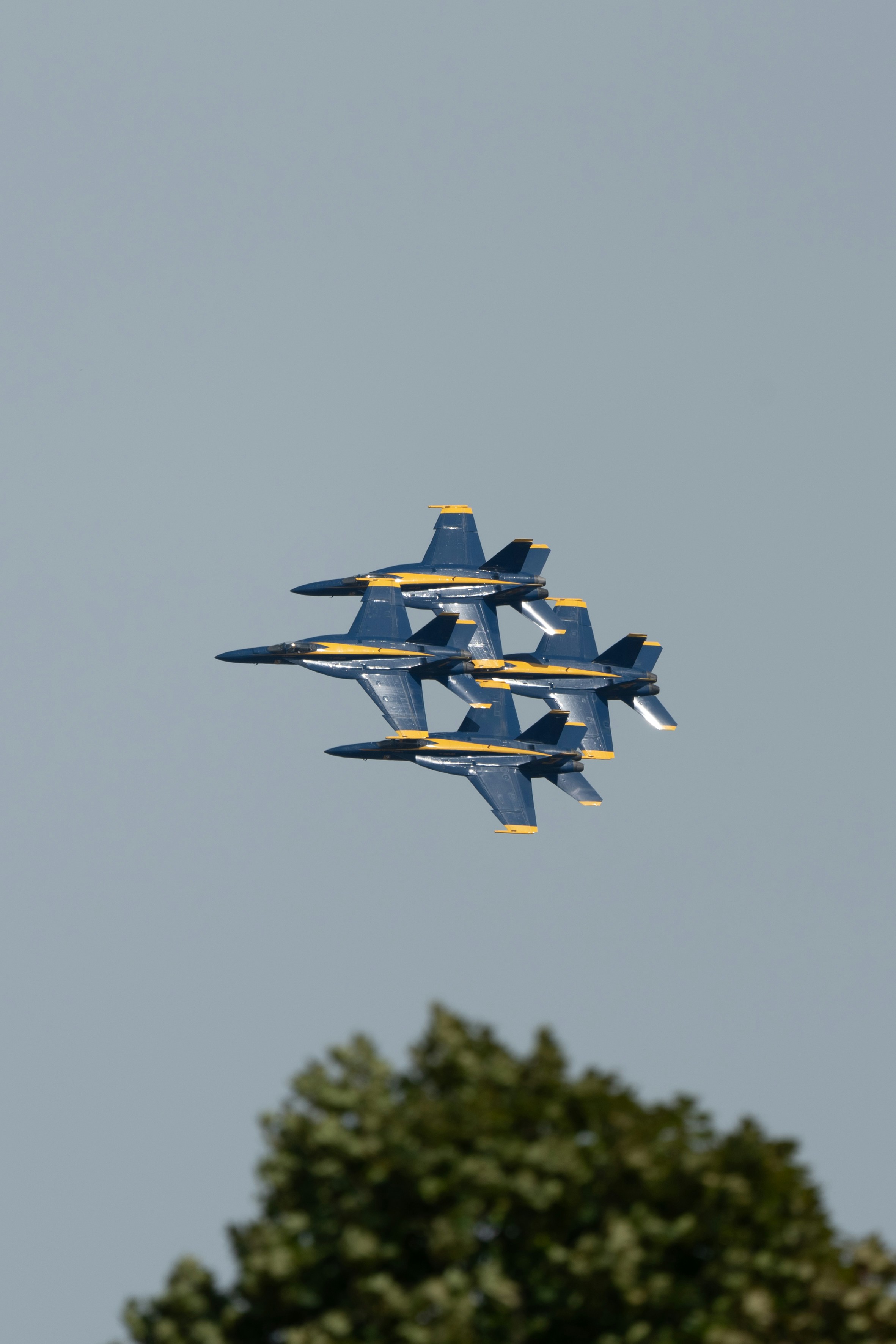 Photo by manuelsilva