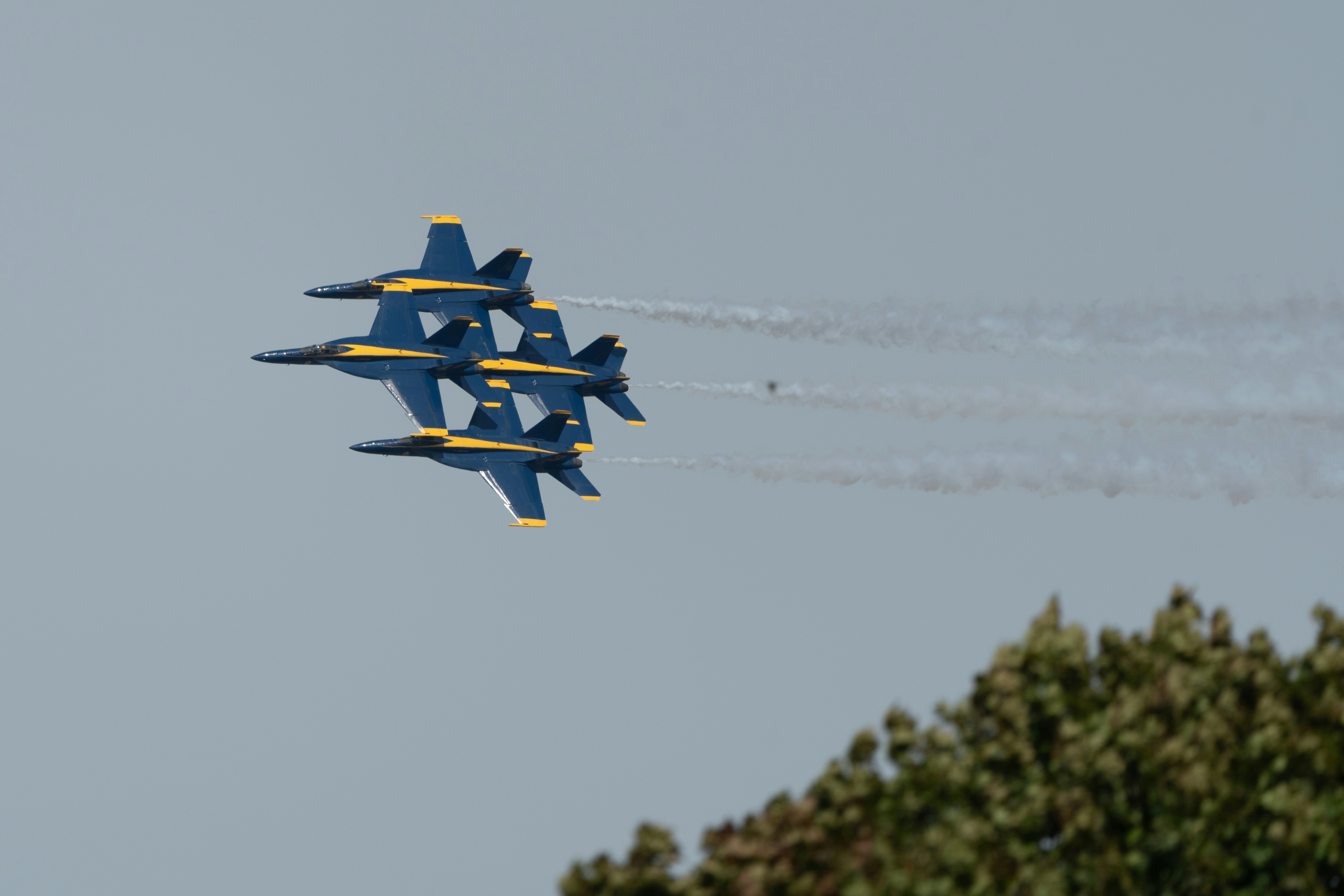 Photo by manuelsilva