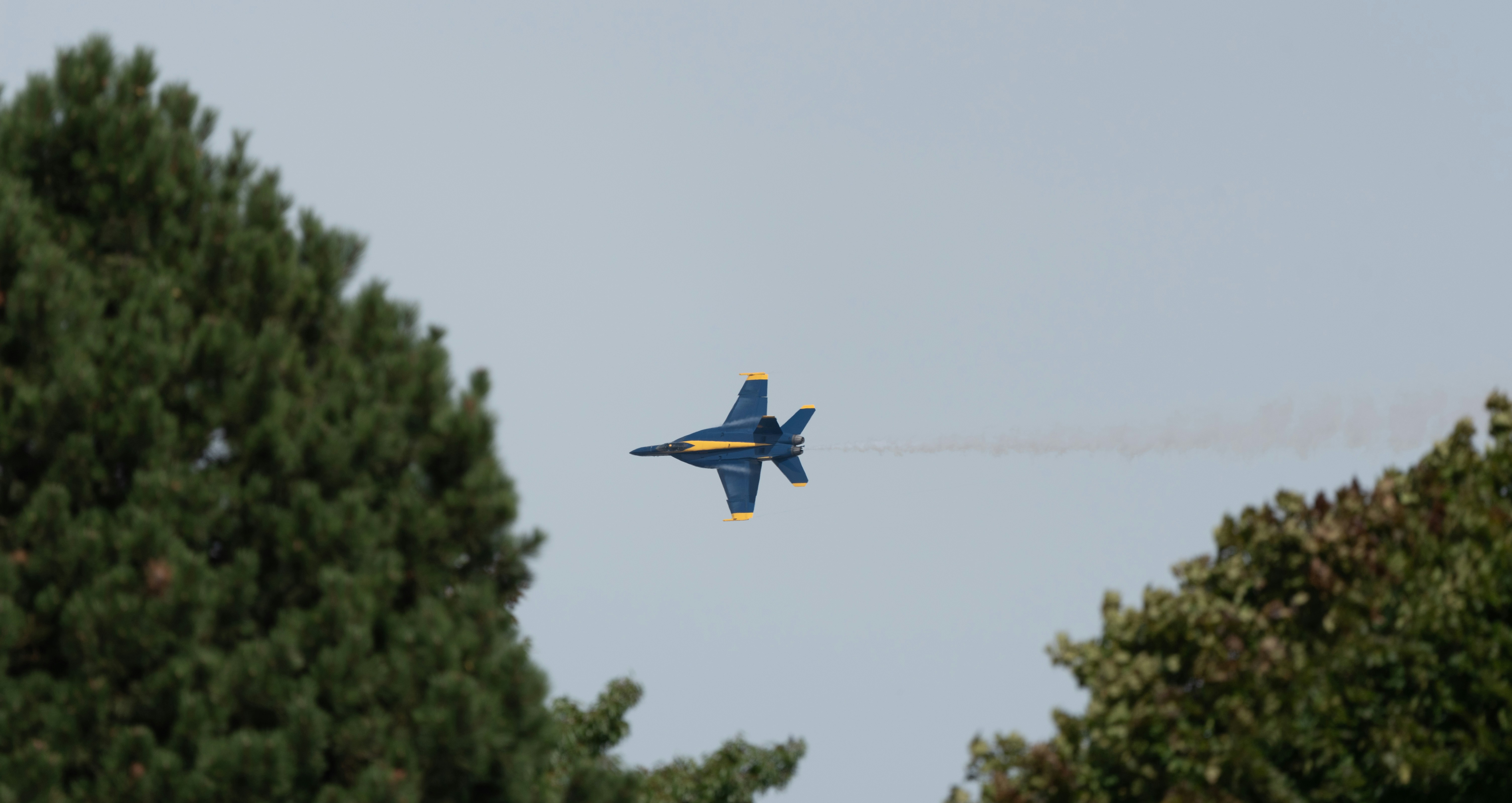 Photo by manuelsilva