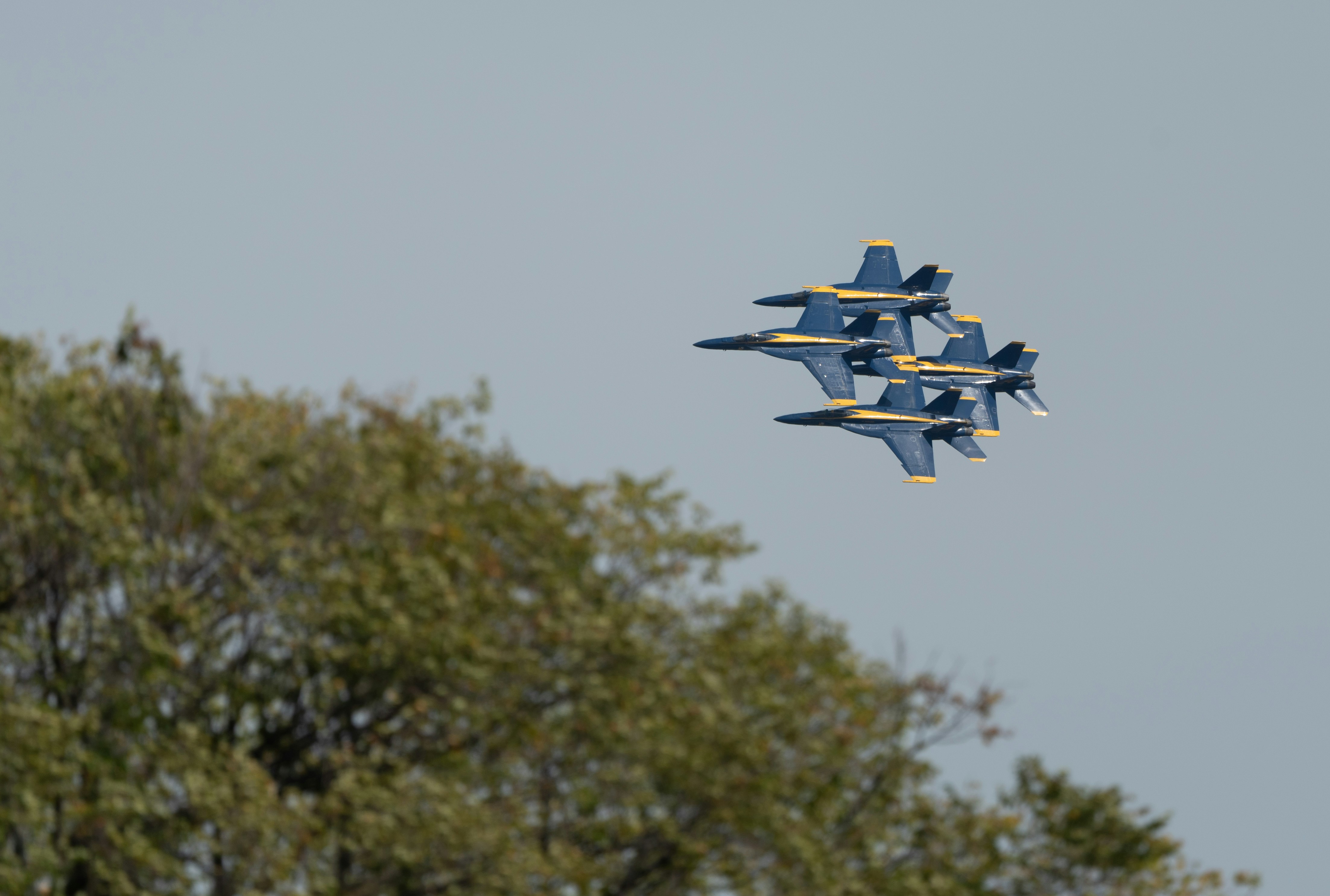 Photo by manuelsilva