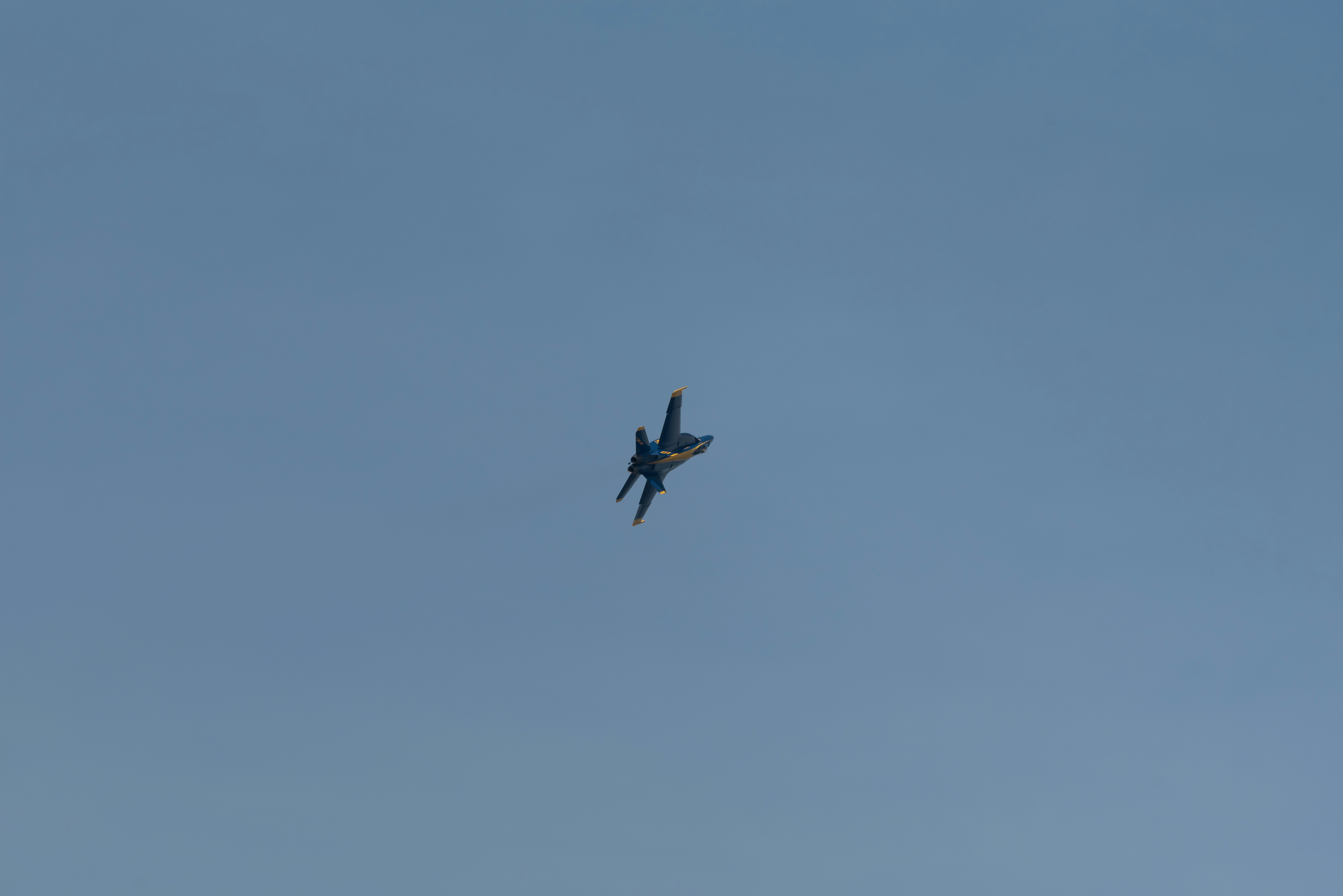 Photo by manuelsilva