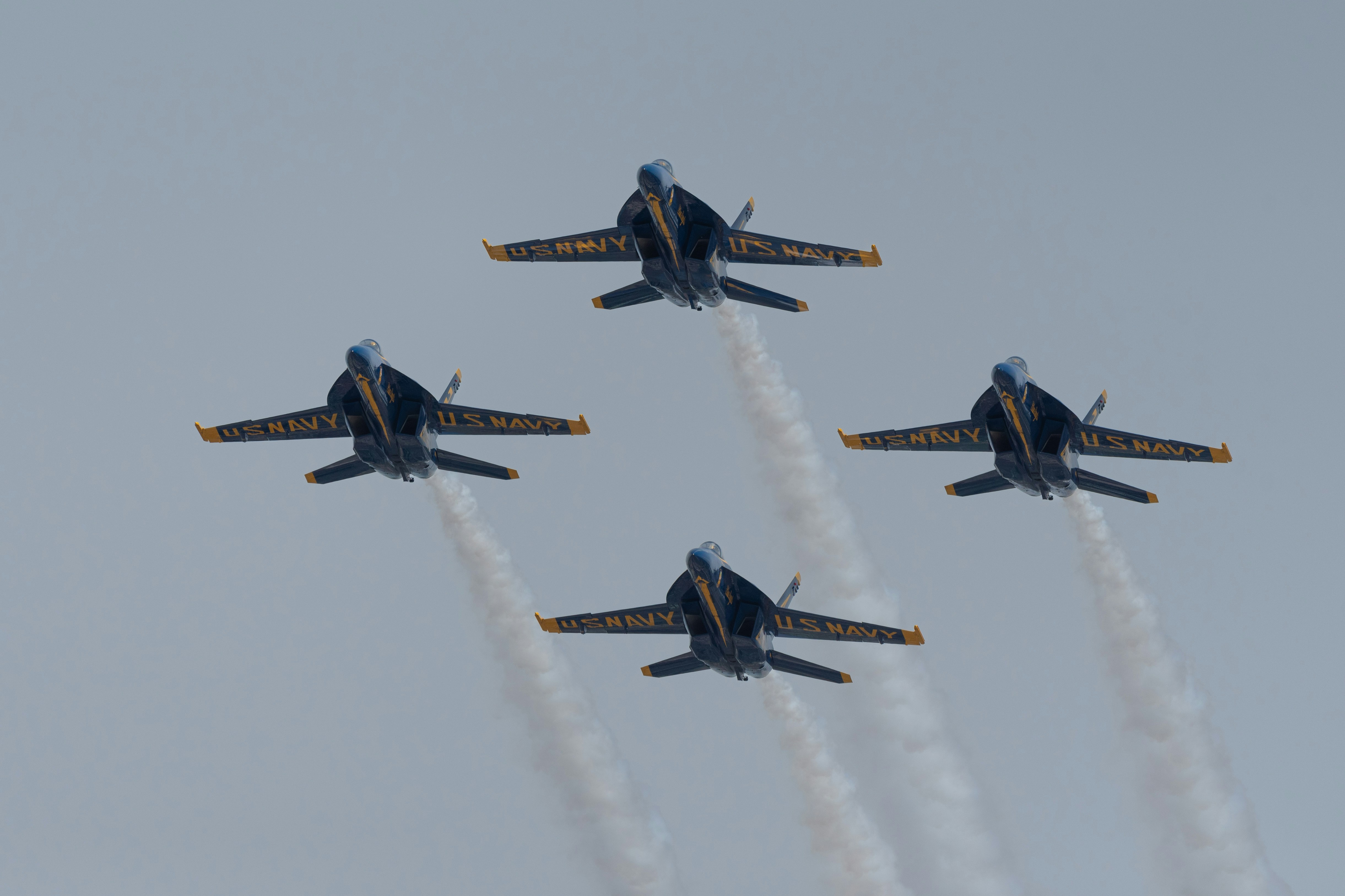 Photo by manuelsilva