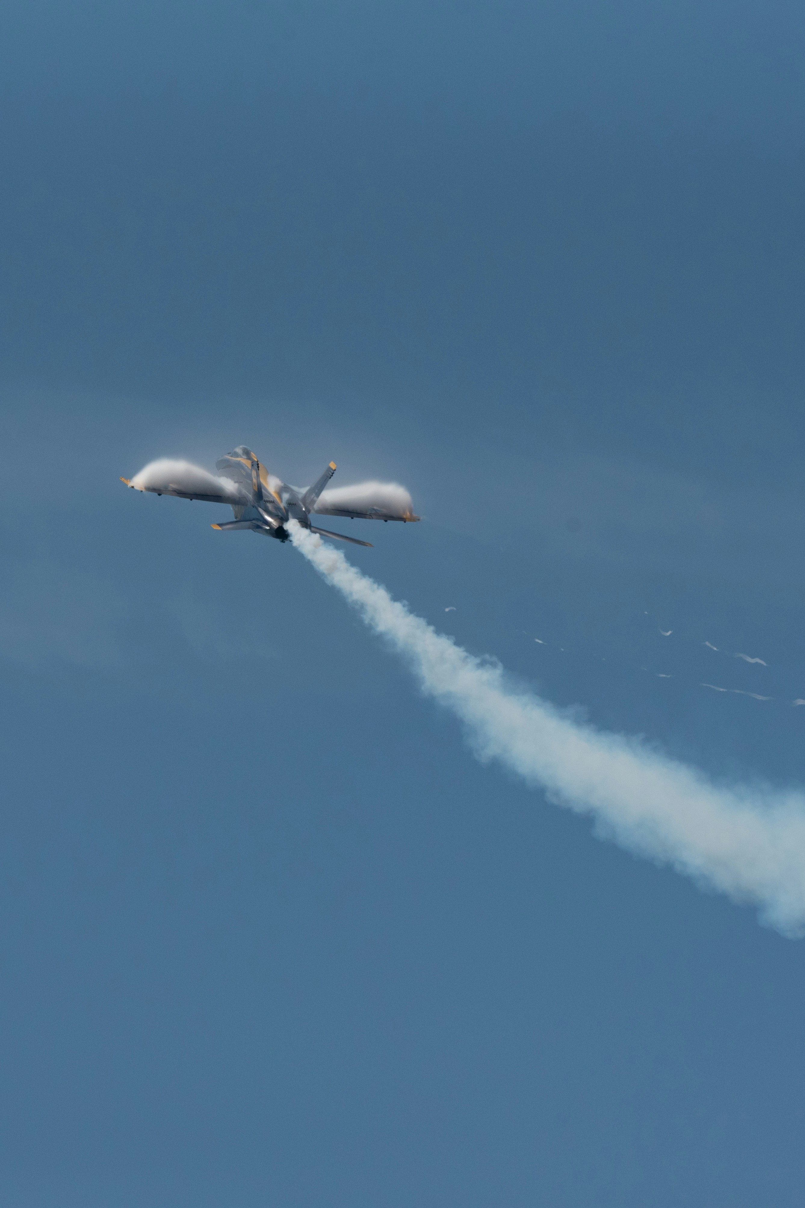 Photo by manuelsilva