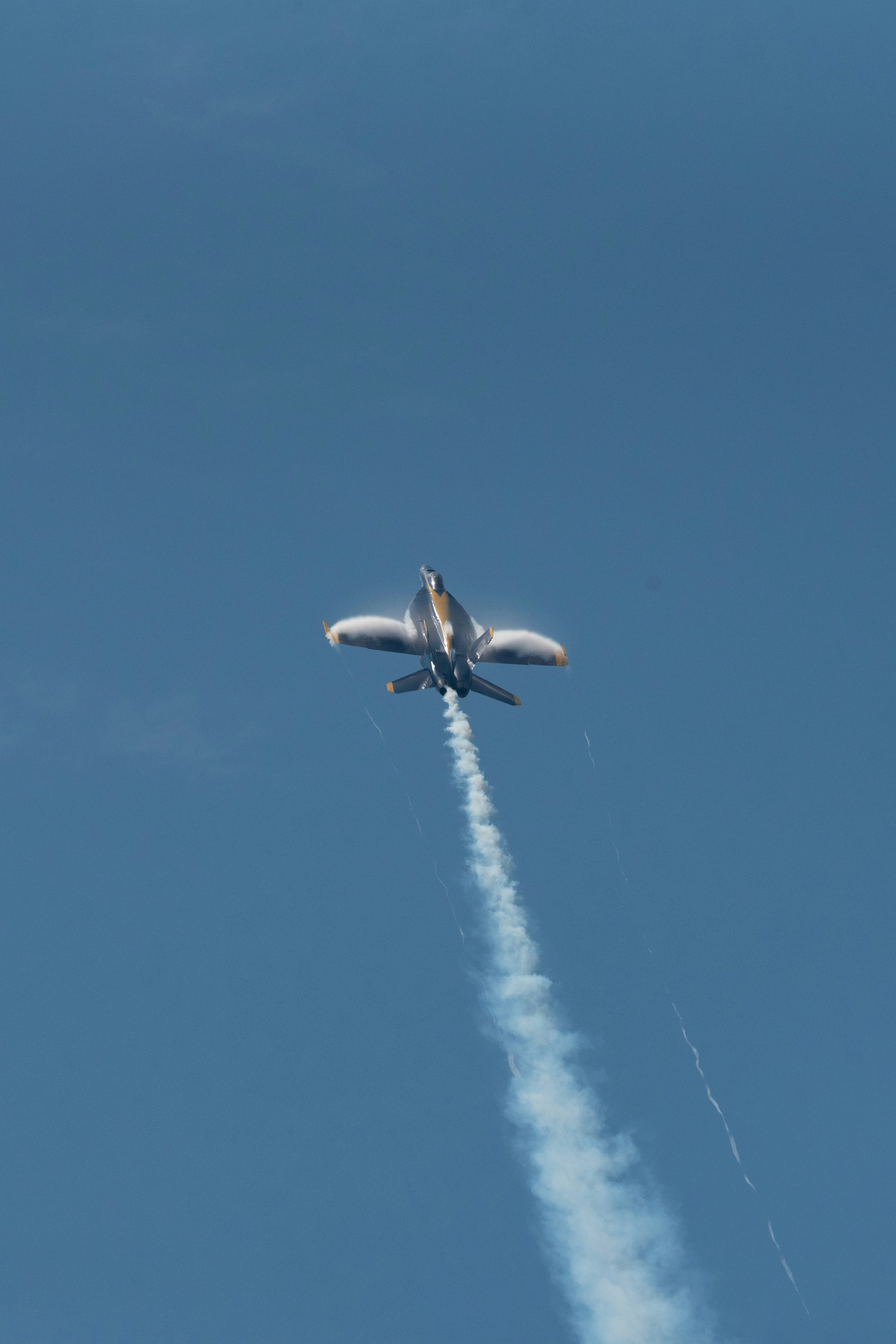 Photo by manuelsilva