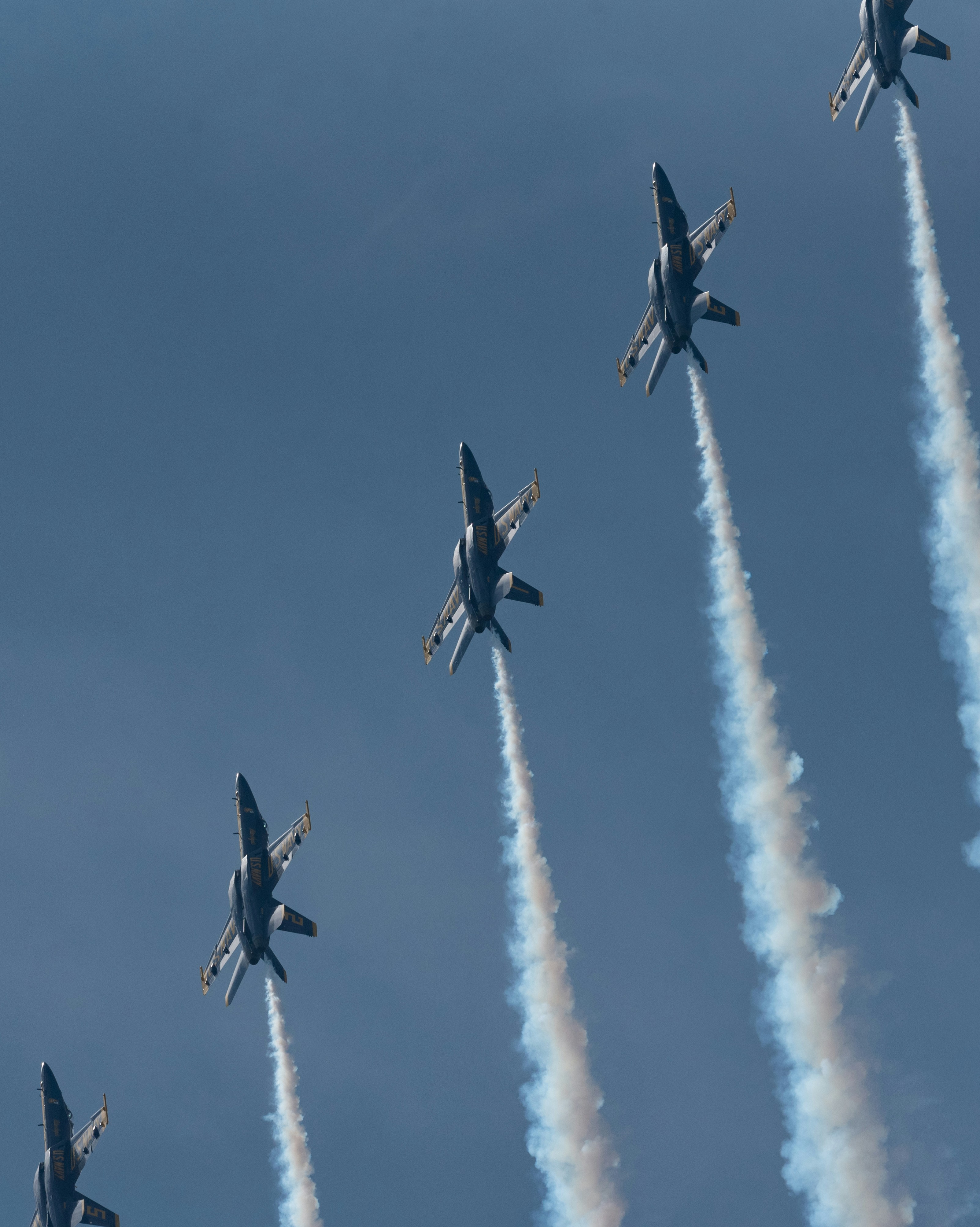 Photo by manuelsilva